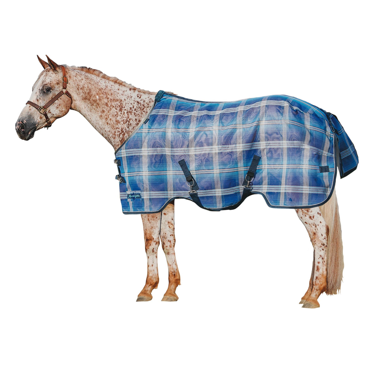 Kensington protective sheet front closures secure easy on-off.