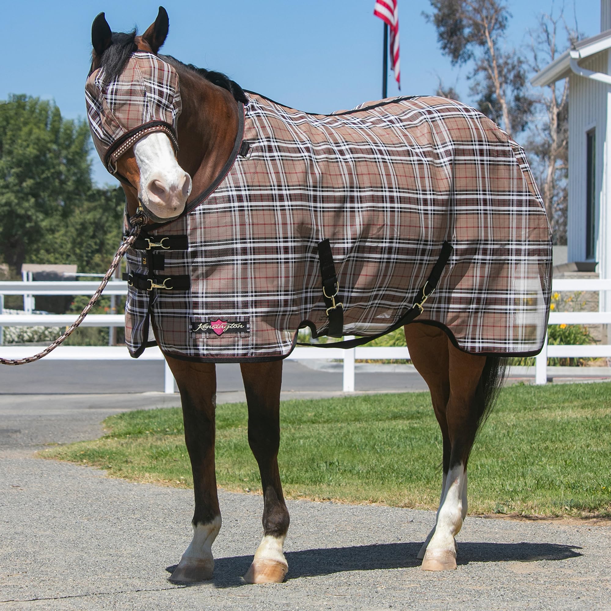 Kensington Protective Sheet withers pad provides cushioned support and a gentle fit