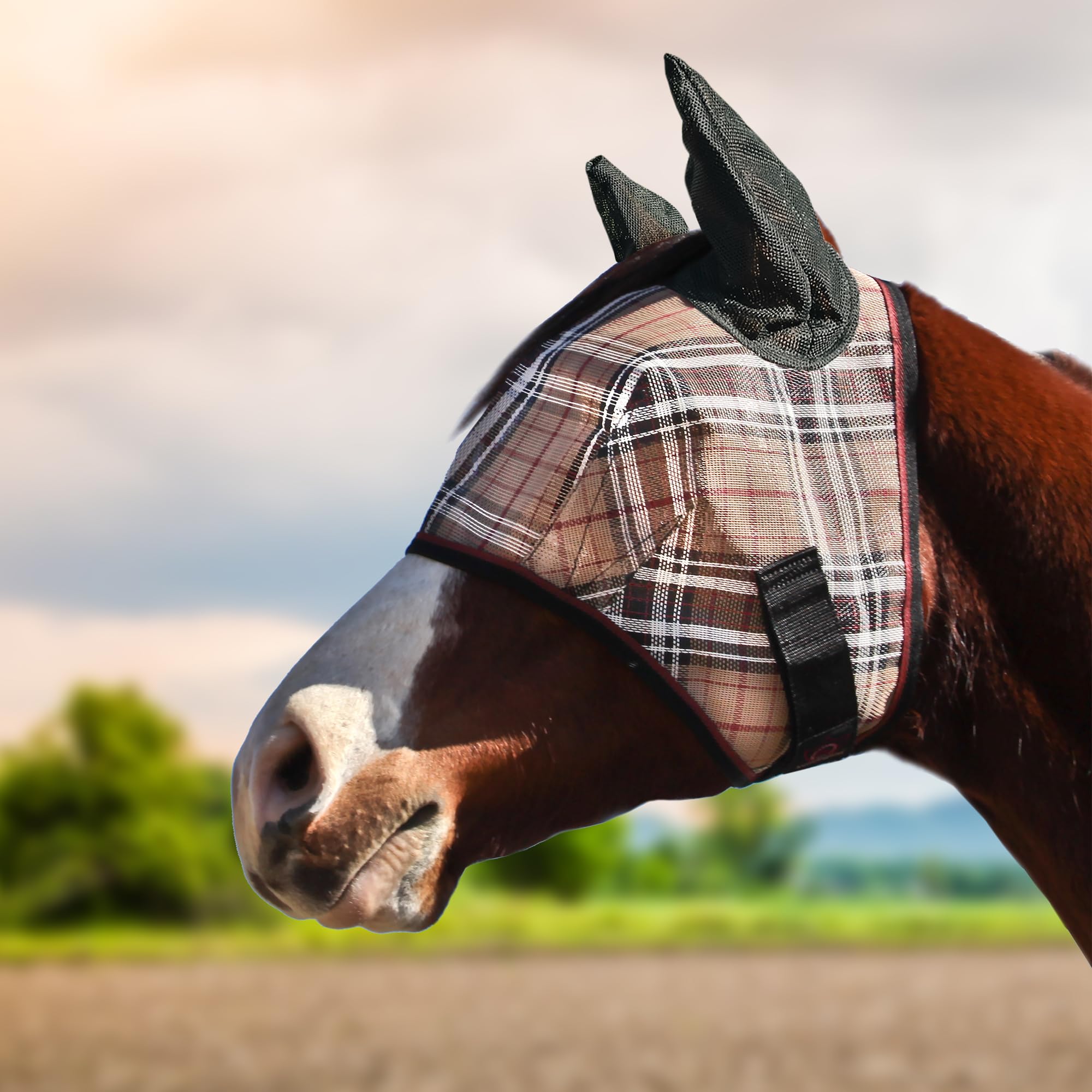 Kensington Signature Fly Mask soft ears protects ears and adds comfort