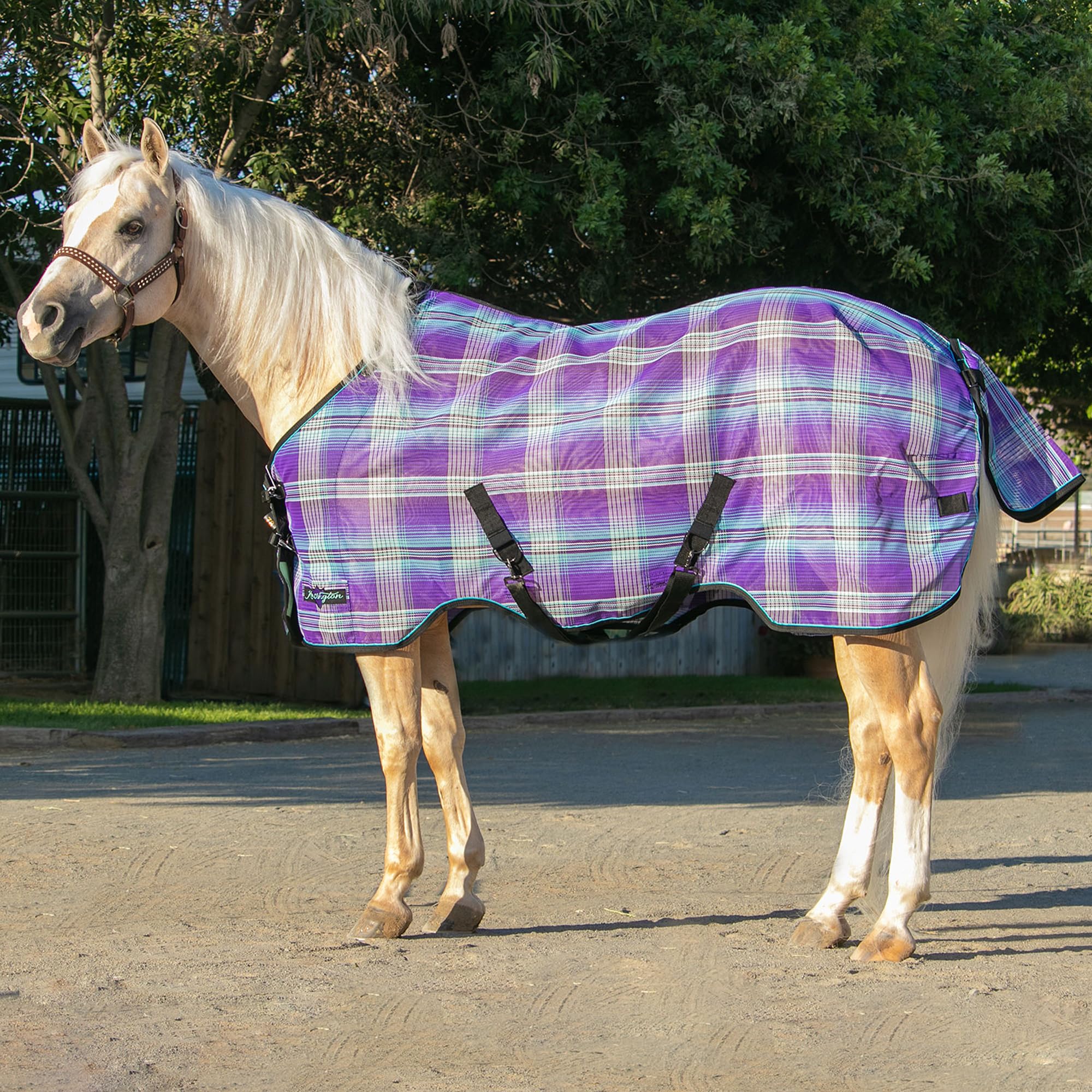 Kensington SureFit sheet back view highlights secure fit features