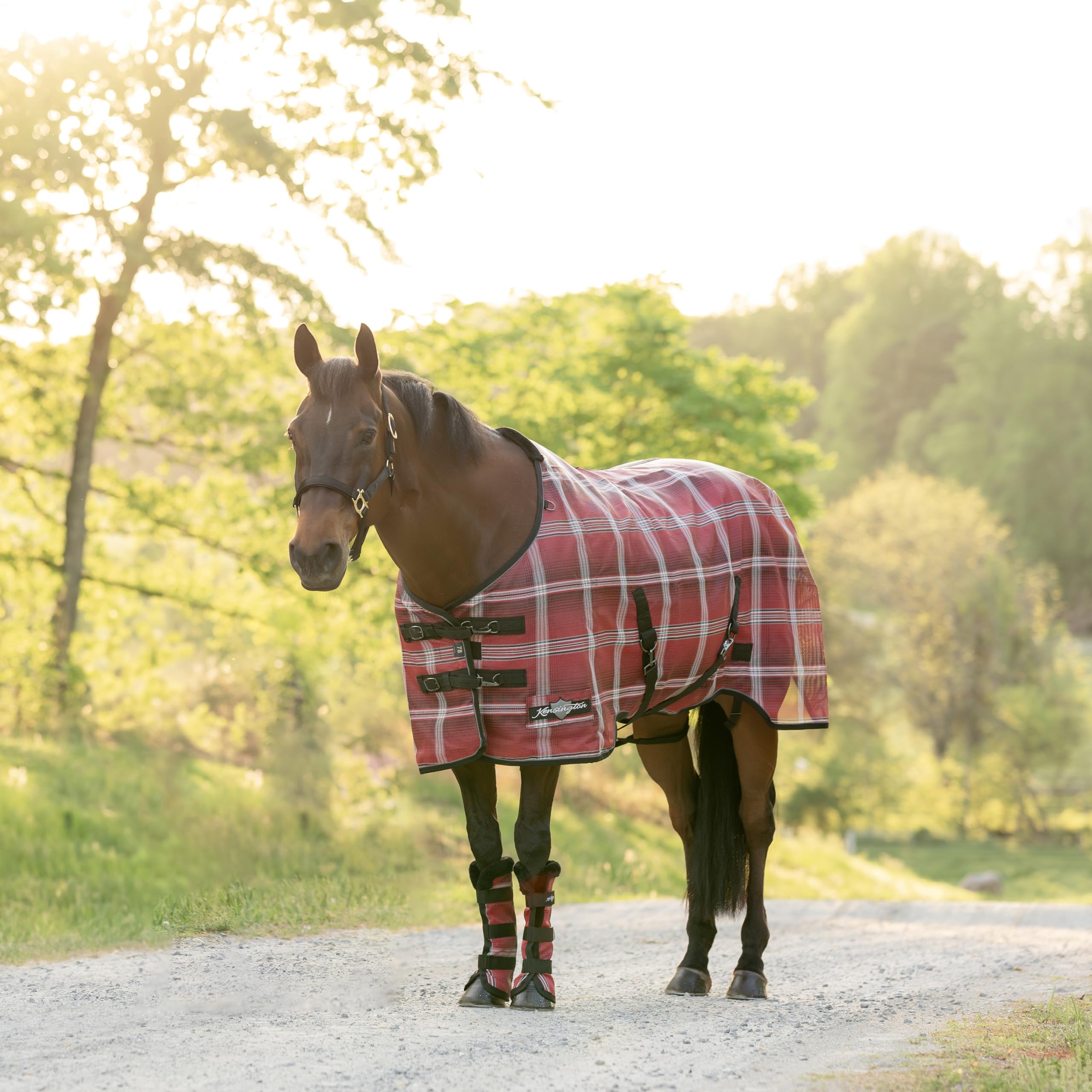 Kensington Surefit chest closure enables easy on-off during grooming sessions.