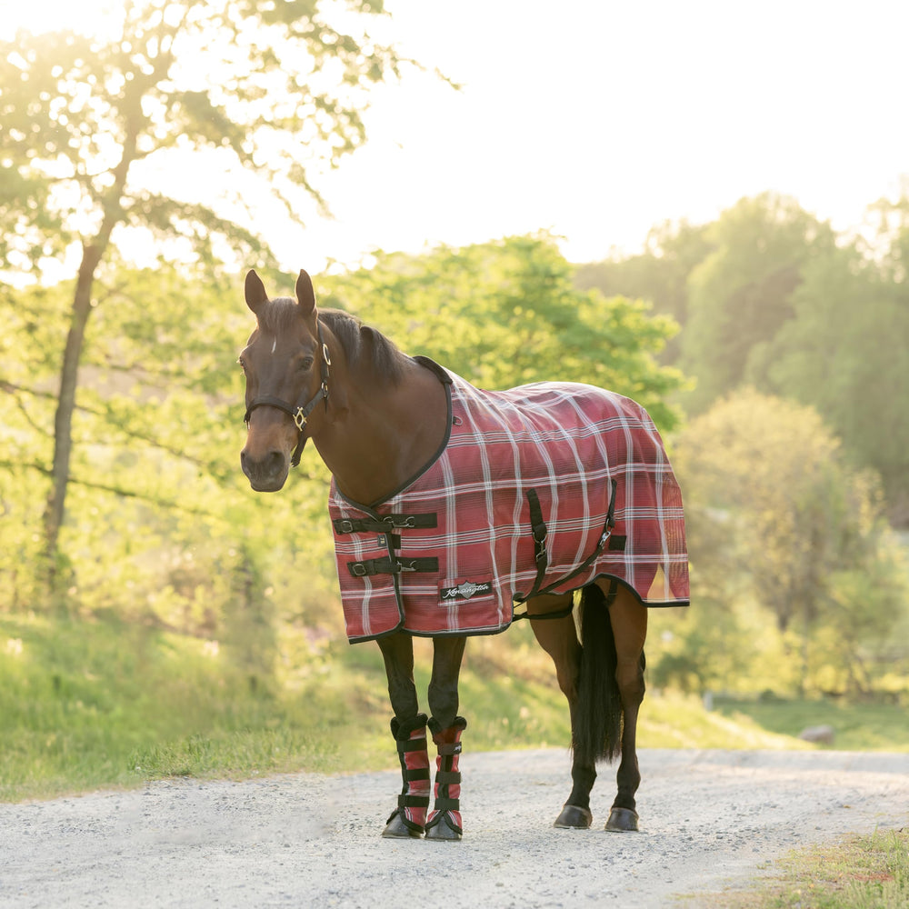 Kensington Surefit chest closure enables easy on-off during grooming sessions.