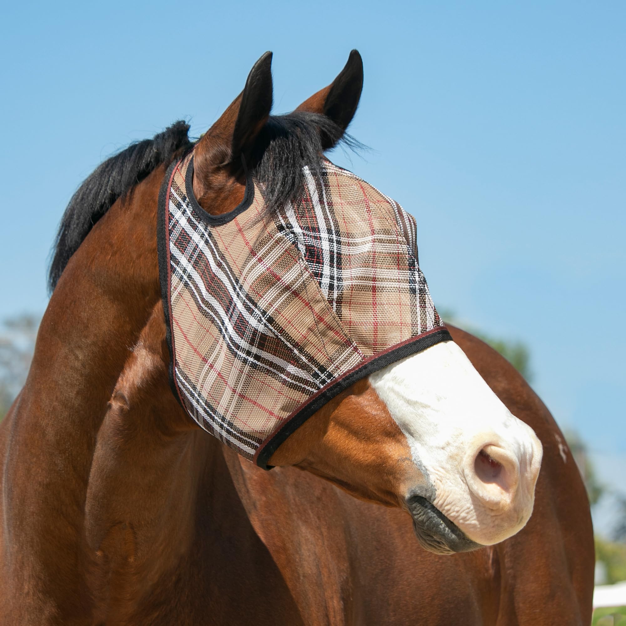 Kensington UV horse fly mask dual ear openings for comfortable wear
