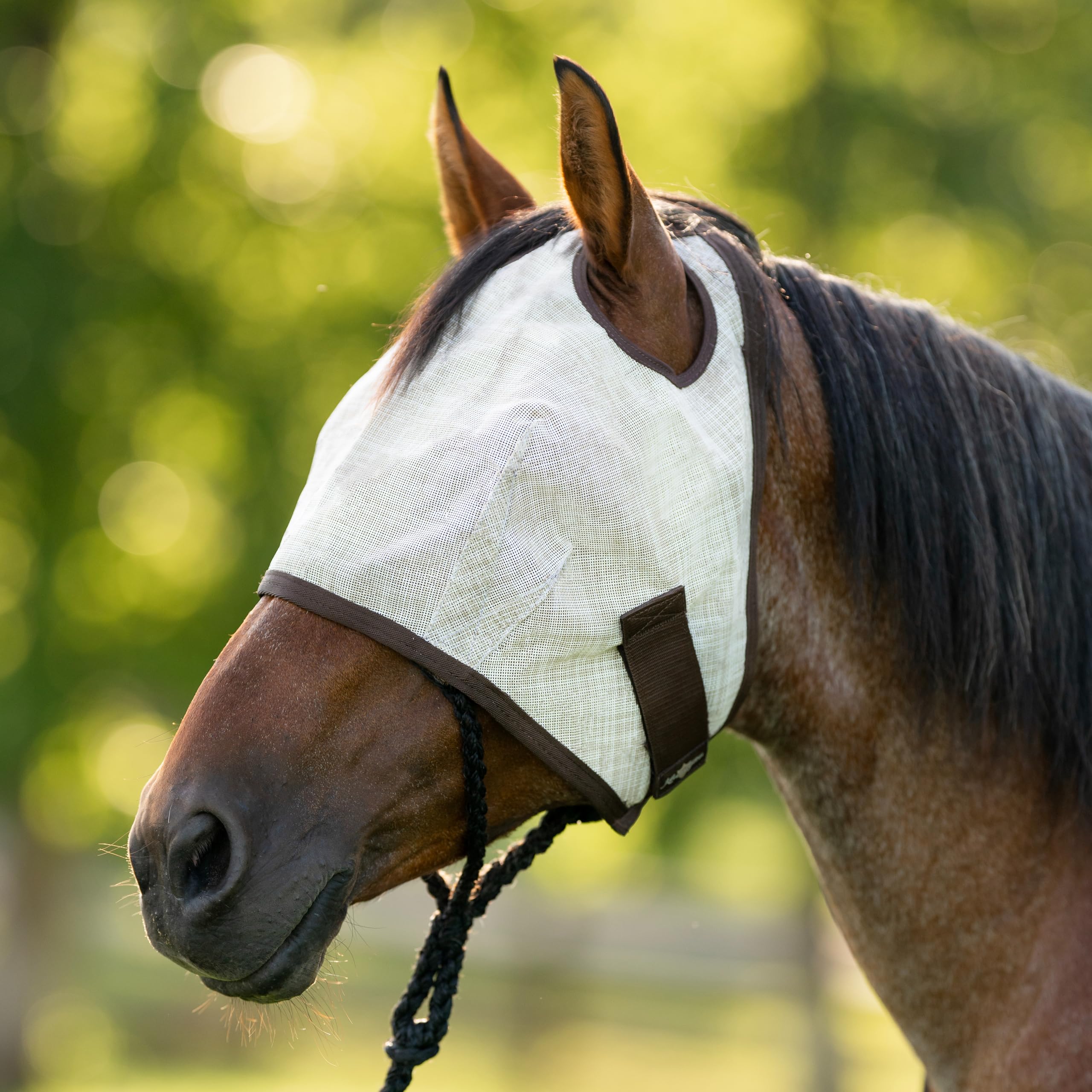 Kensington UV Horse Fly Mask durable web trim withstands daily wear and washing