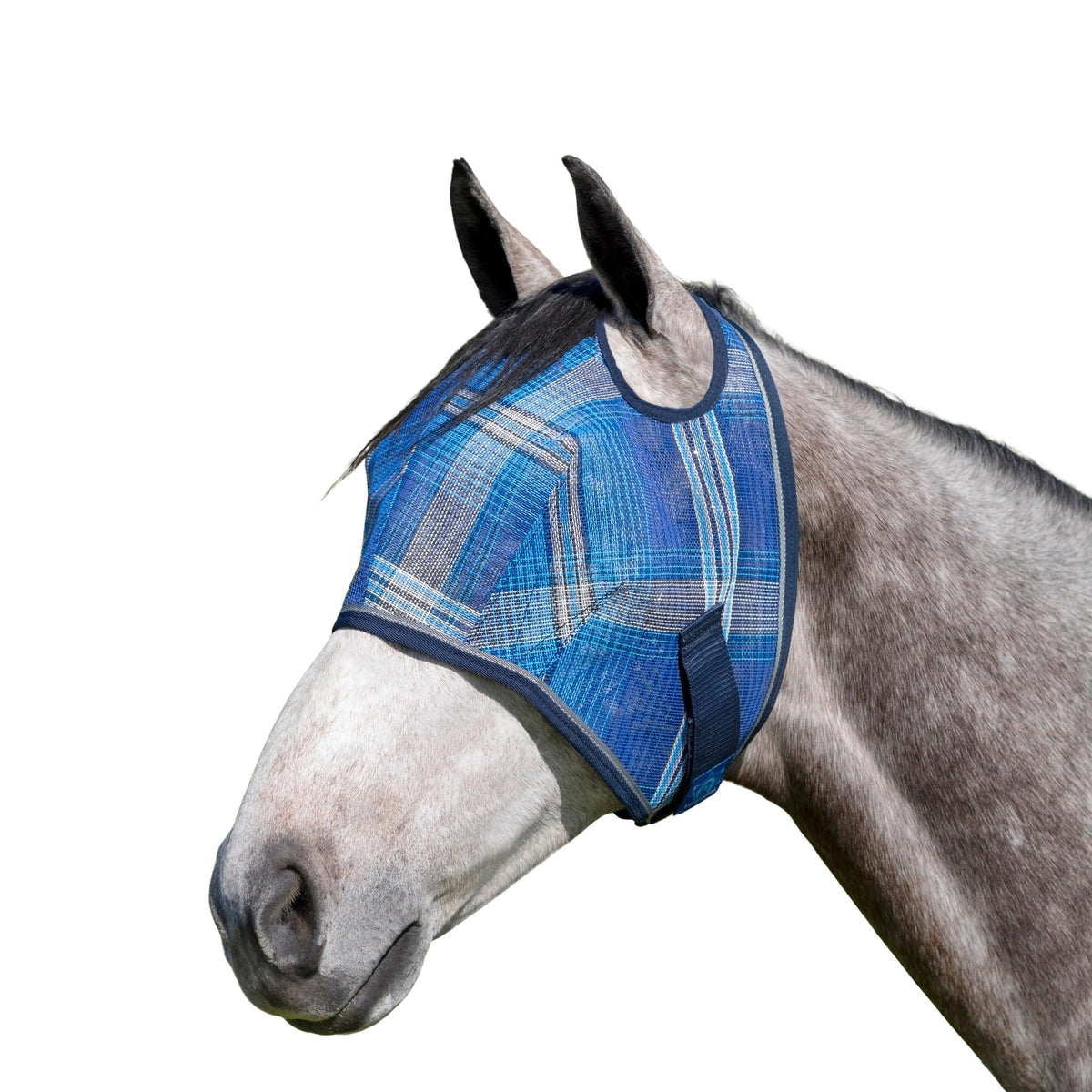 Kensington UV horse fly mask front view shows durable web trim for rugged rides.