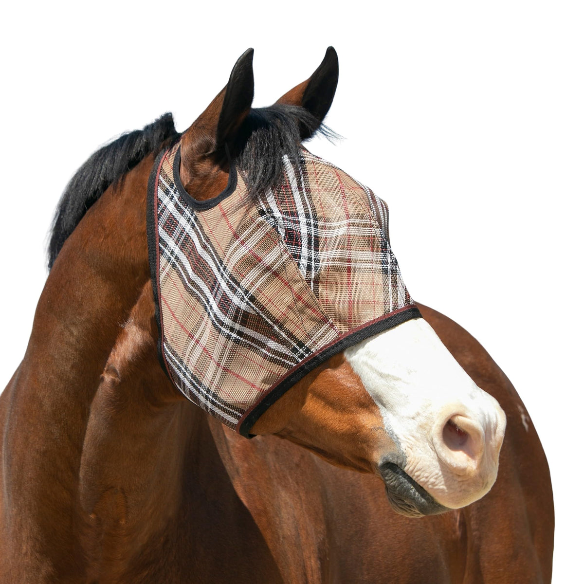 Kensington UV horse fly mask front view with web trim eye protection