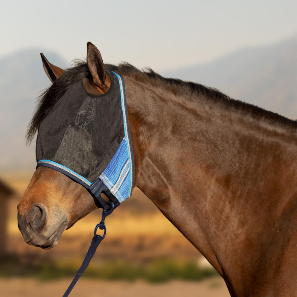 Kensington UViator under-bridle fit image shows secure wear under a bridle.