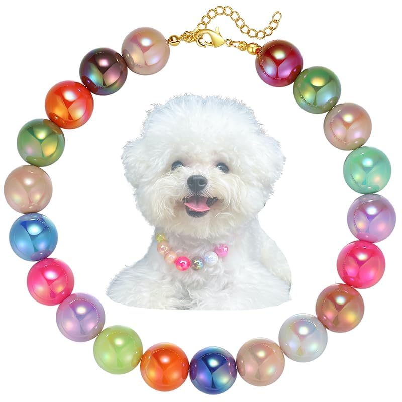 Kepudengen dogs necklace colorful beads ideal for stylish photoshoots