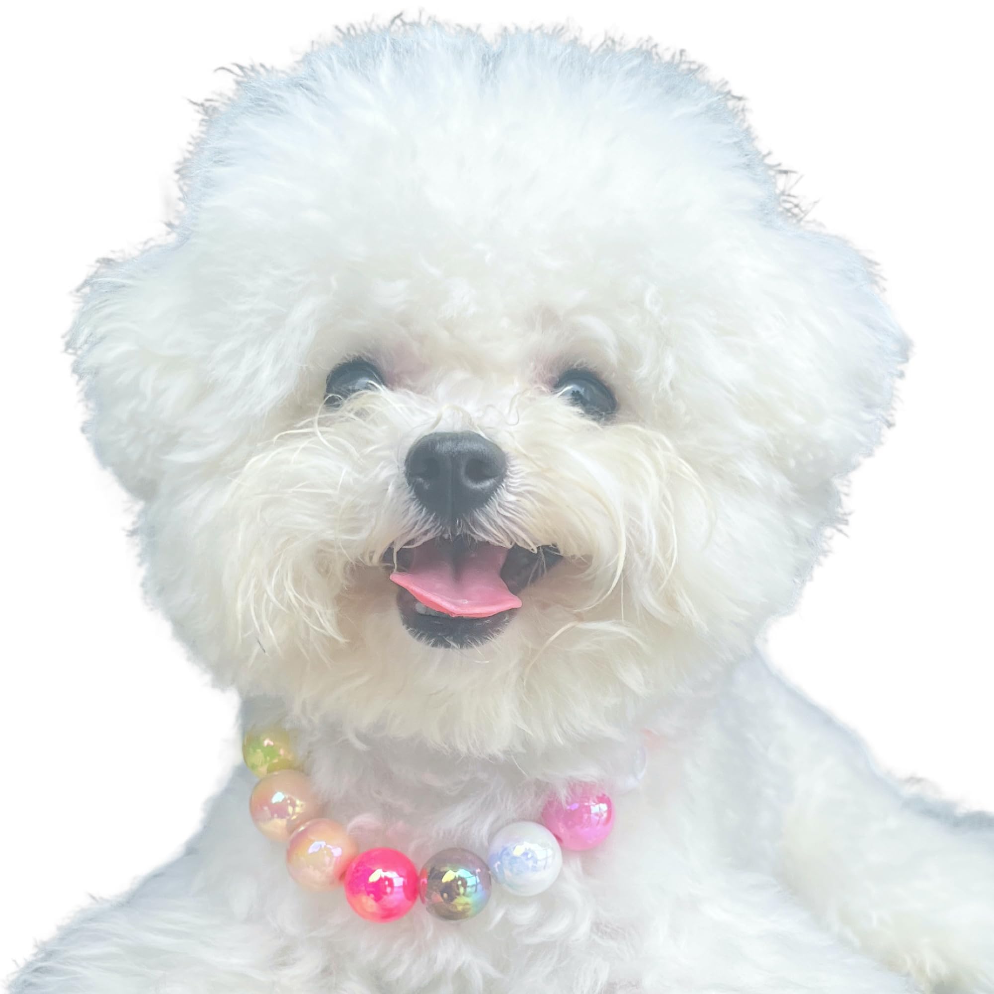 Kepudengen dogs necklace beads perfect for parties and weddings