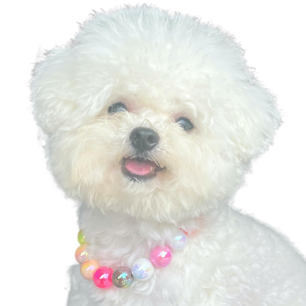 Kepudengen colorful beaded collar accent for pets during outings