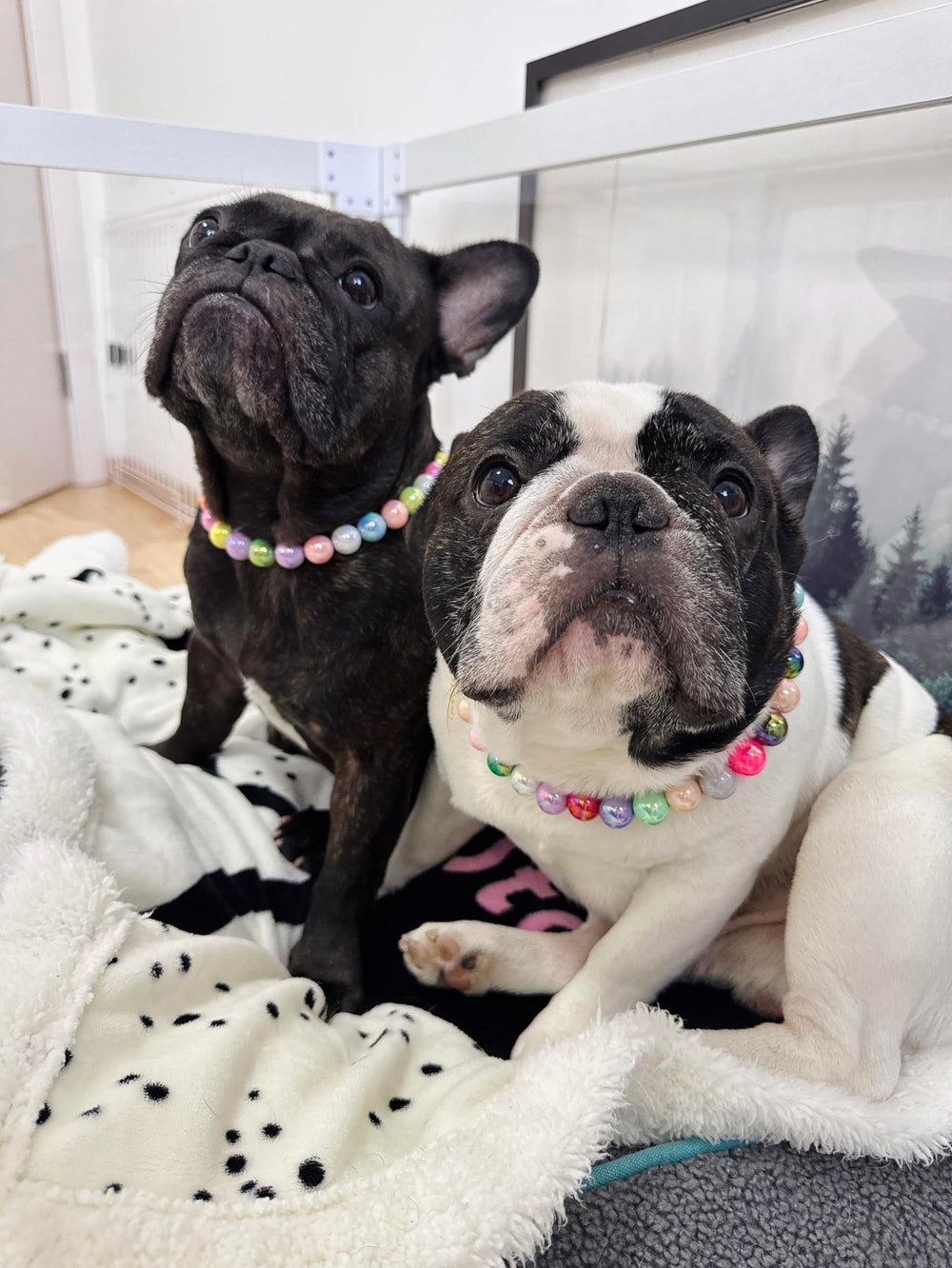 Kepudengen party-ready necklace adds charm to celebrations