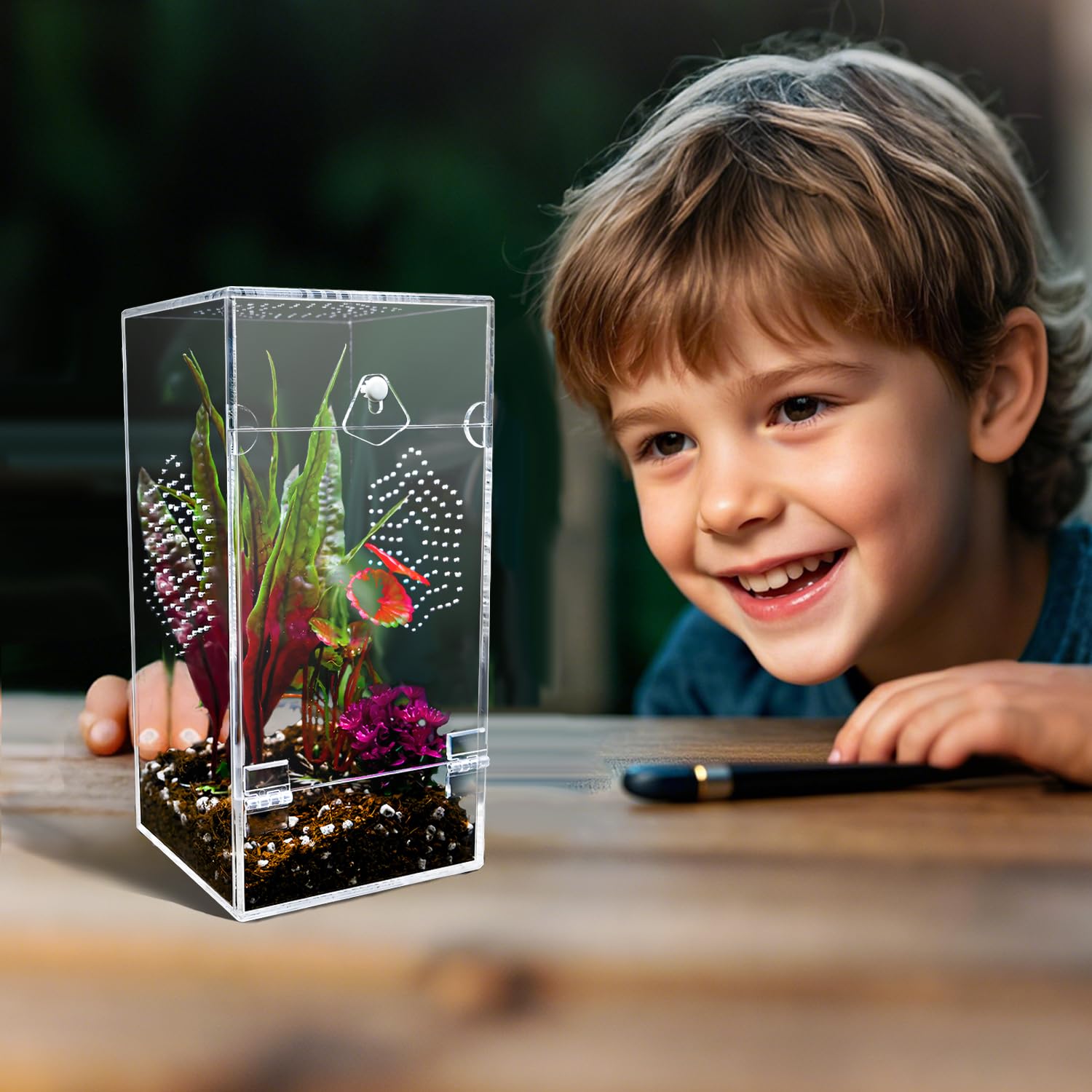 KERRLOTTE edge-clean design shows smooth polished finish protecting delicate hermit crabs during shell transitions.