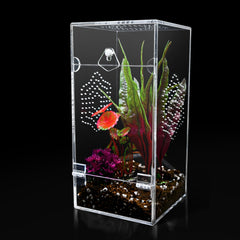 KERRLOTTE acrylic jumping spider enclosure front view for easy observation and stress-free monitoring.