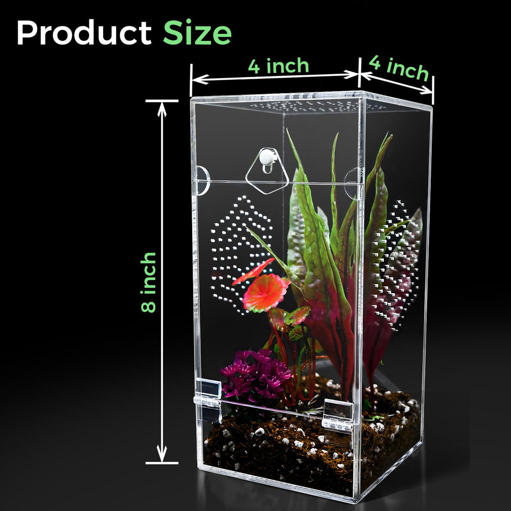 KERRLOTTE interior view illustrates transparent habitat reducing stress for light-sensitive mantises.