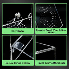 KERRLOTTE acrylic enclosure micro-mesh vent detail demonstrates escape-proof design for tiny spiderlings.