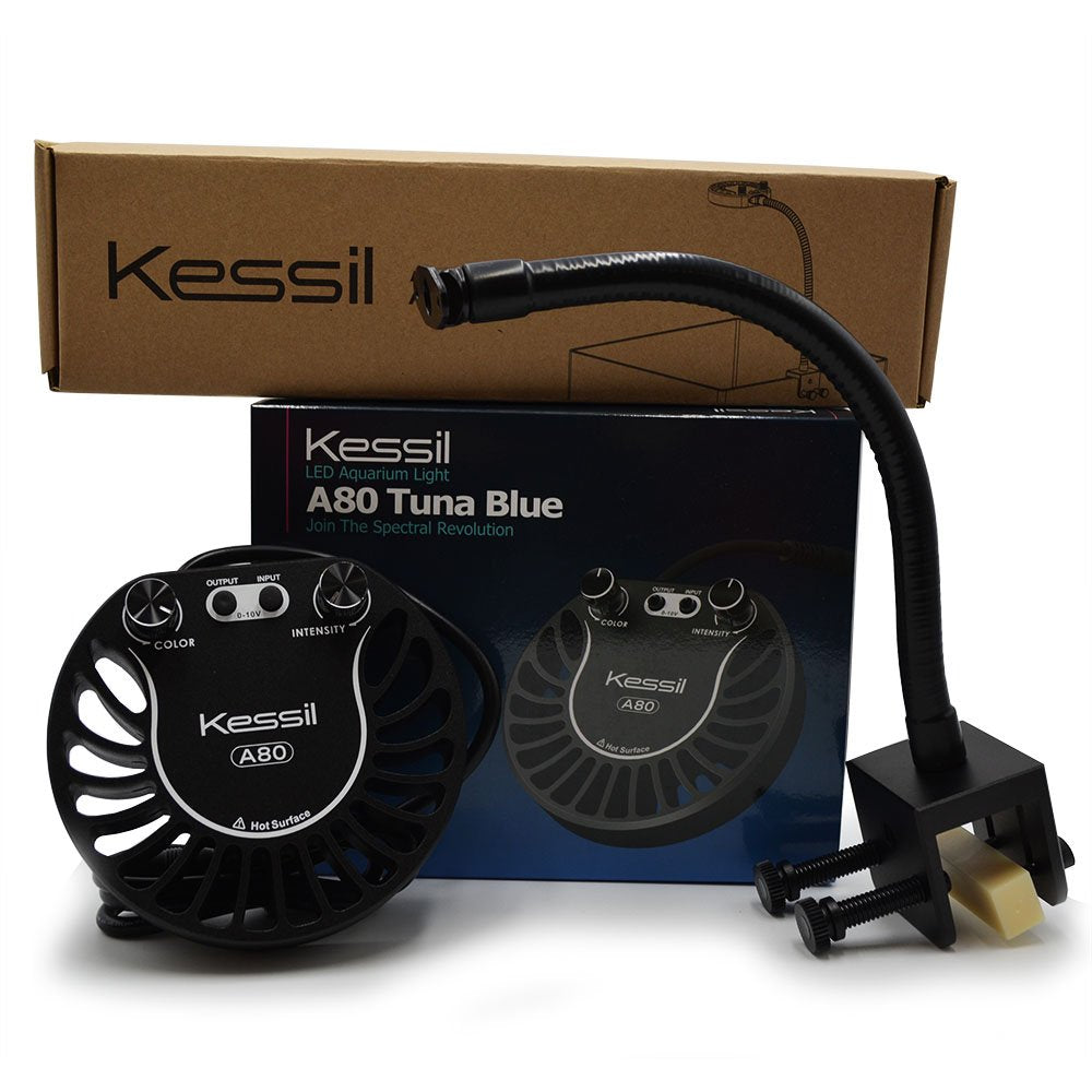 Kessil Tuna Blue A80 LED Light with mini gooseneck for reef tanks—adjustable mounting.