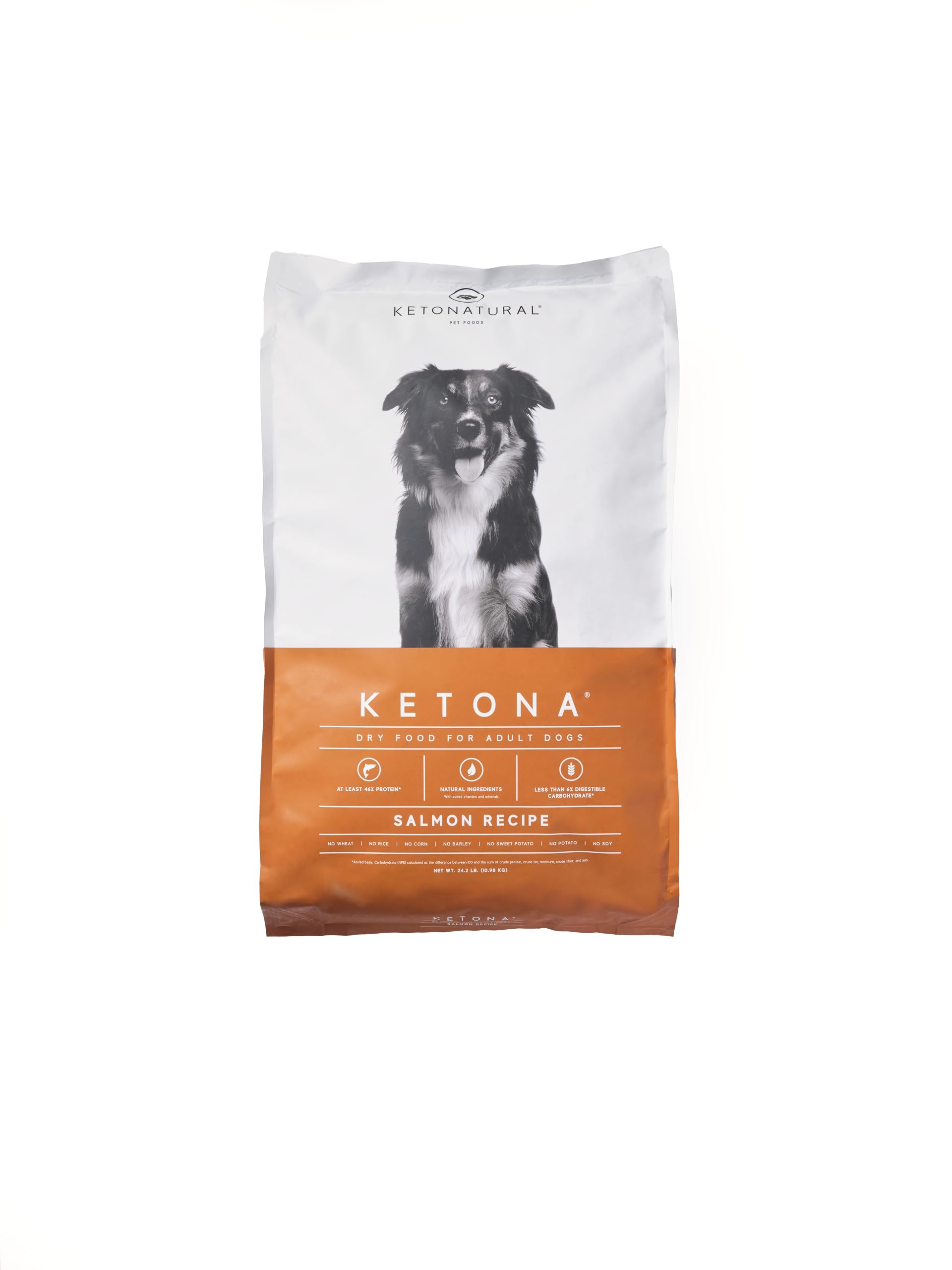 Ketona Salmon Recipe dry dog food bowl shows protein-forward meal for lean energy
