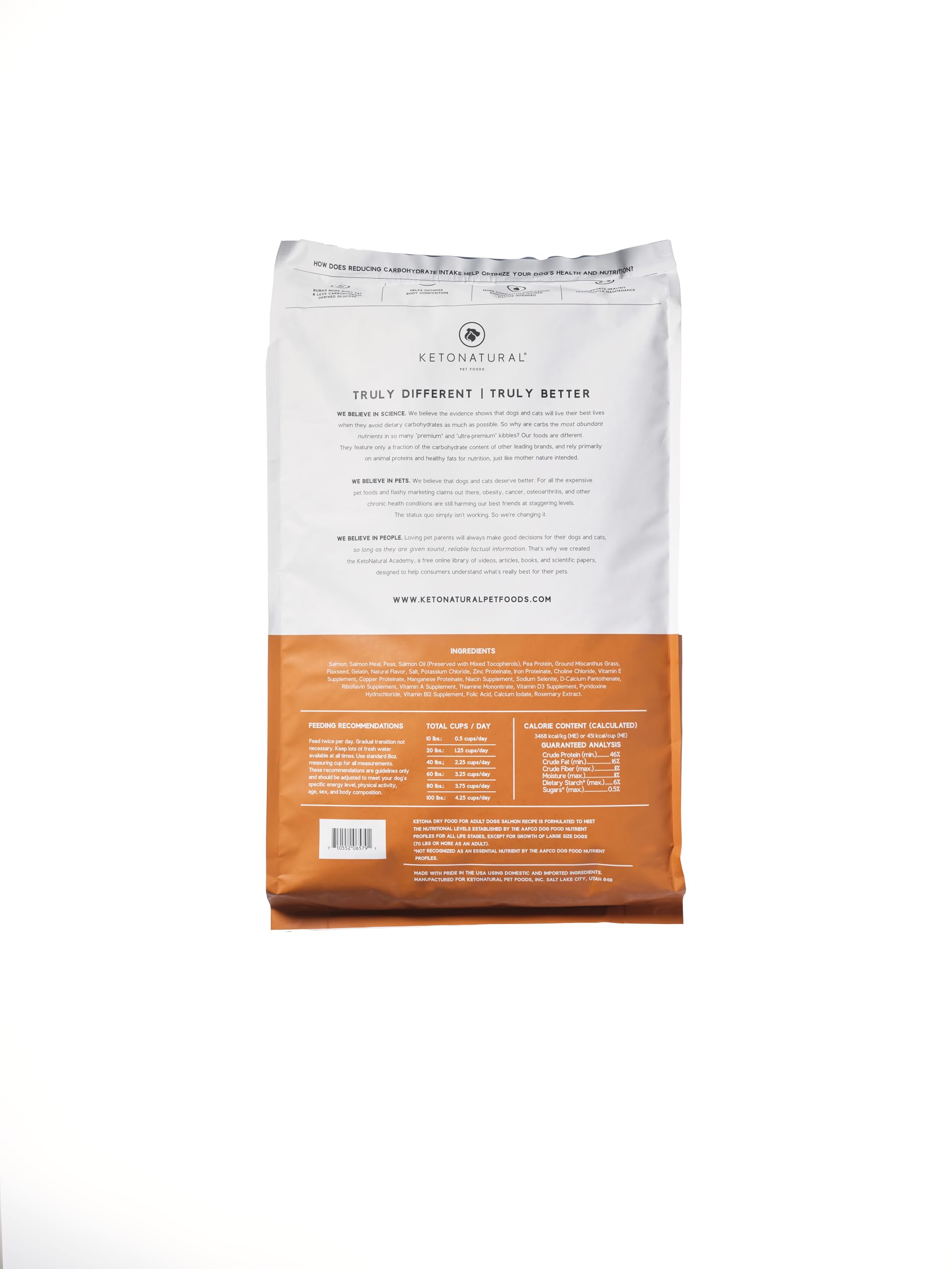 Ketona Salmon Recipe meat chunks closeup highlights real meat for high-protein nutrition