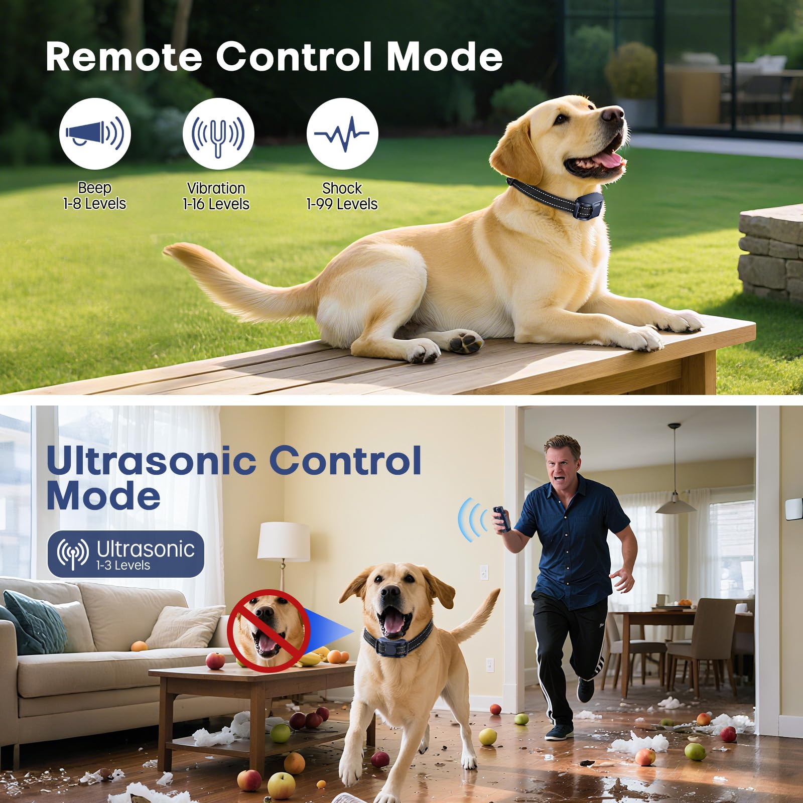 Ketwini IP67 waterproof dog collar ready for rain and swimming days