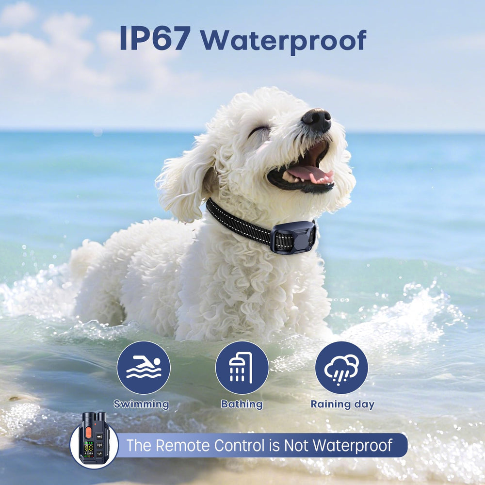 Ketwini two-receiver dog training system enables simultaneous training for two dogs