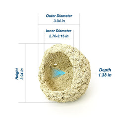 KFPSHLQE Anemone Nest close-up reveals beige texture that blends with the ocean floor.