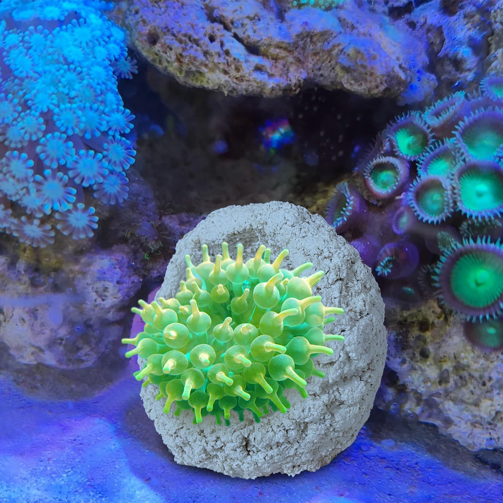 KFPSHLQE Anemone Nest tank-safe décor supports realistic seabed aesthetics.