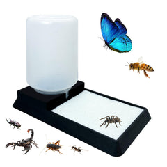 KFPSHLQE insect water feeder top view demonstrates a steady hydration source for tiny enclosure pets.