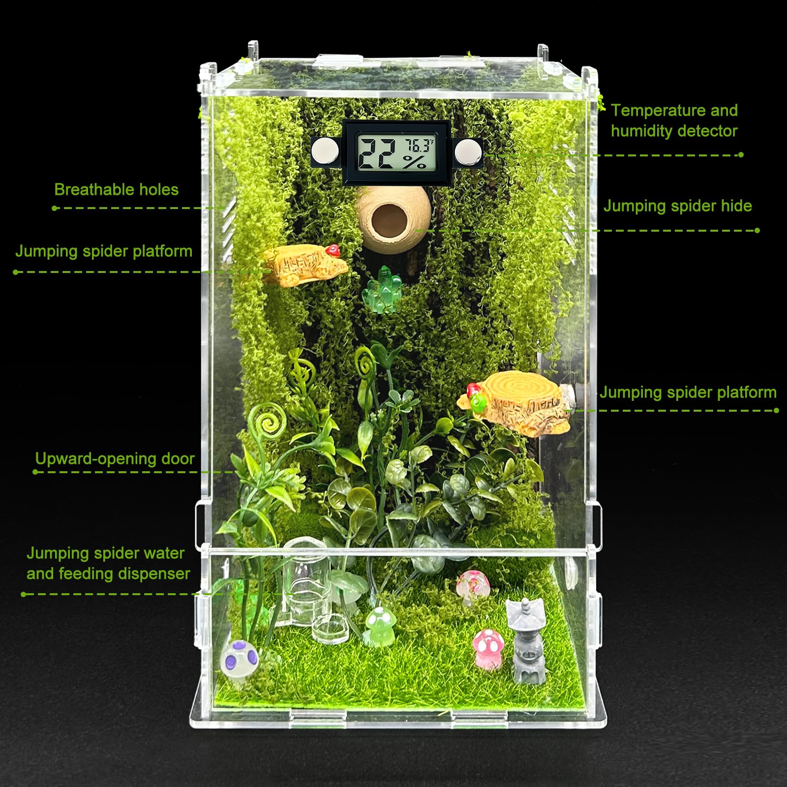 KFPSHLQE jumping spider enclosure forest open clamshell enables effortless feeding and viewing