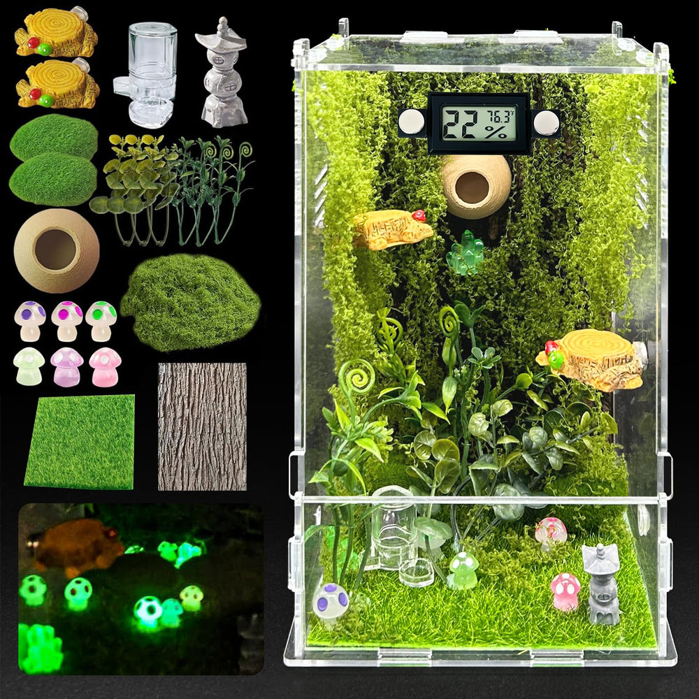 KFPSHLQE jumping spider enclosure forest side view reveals clear acrylic visibility for easy observation