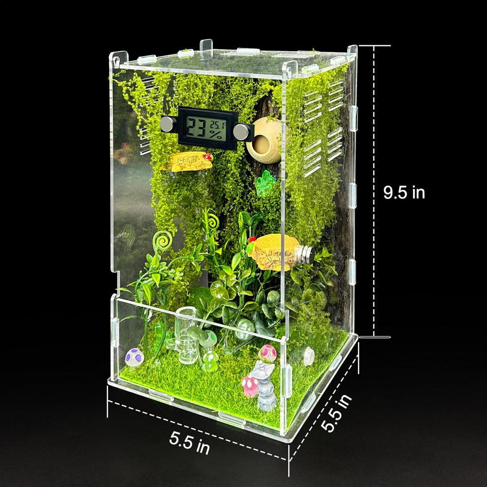 KFPSHLQE jumping spider enclosure forest top view highlights clamshell access for quick feeding