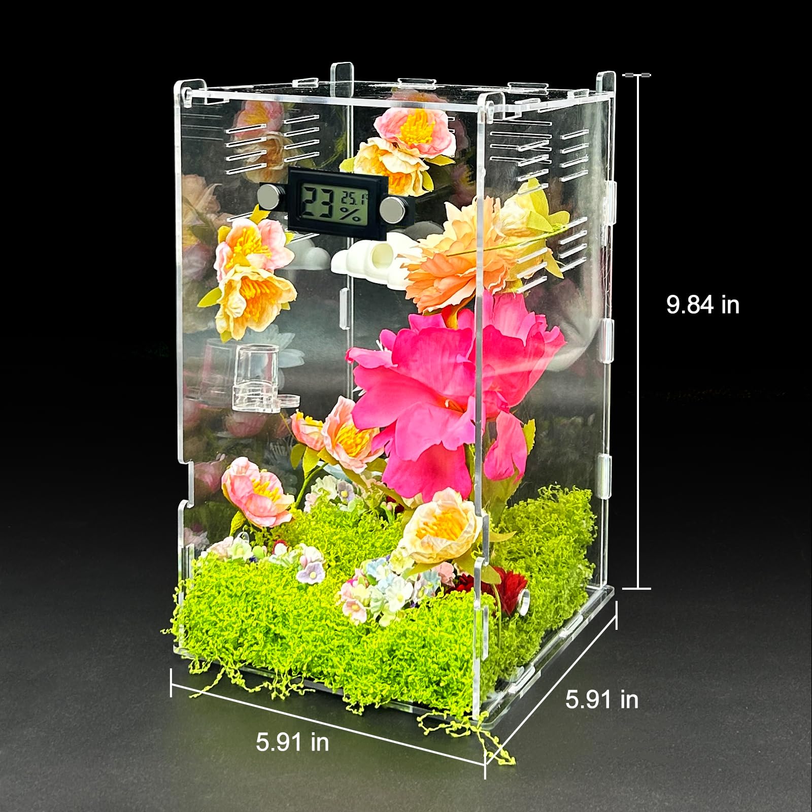 KFPSHLQE jumping spider enclosure top view shows ventilation for fresh air.