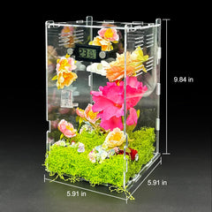 KFPSHLQE jumping spider enclosure top view shows ventilation for fresh air.