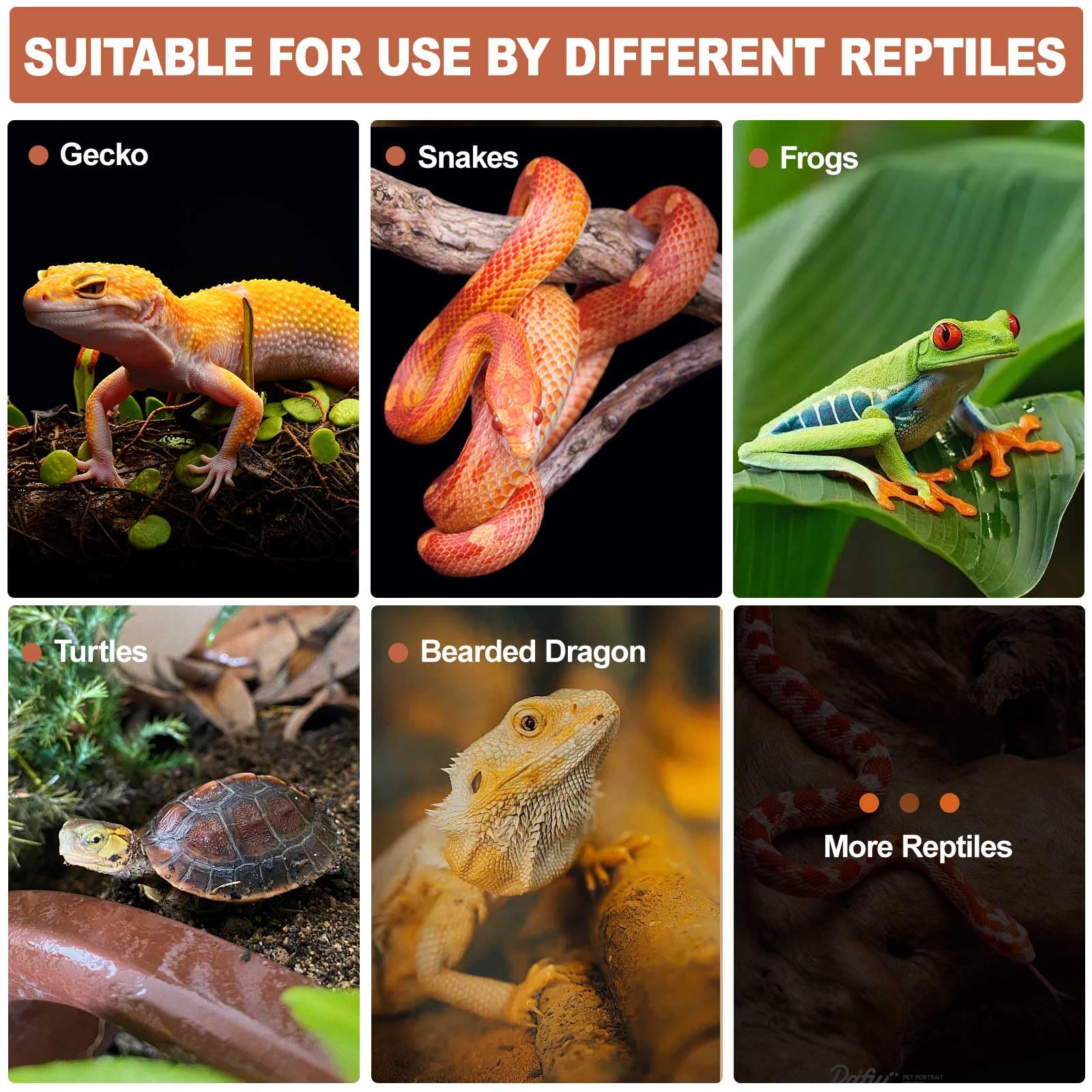 KFPSHLQE reptile hide premium PLA material features fine texture