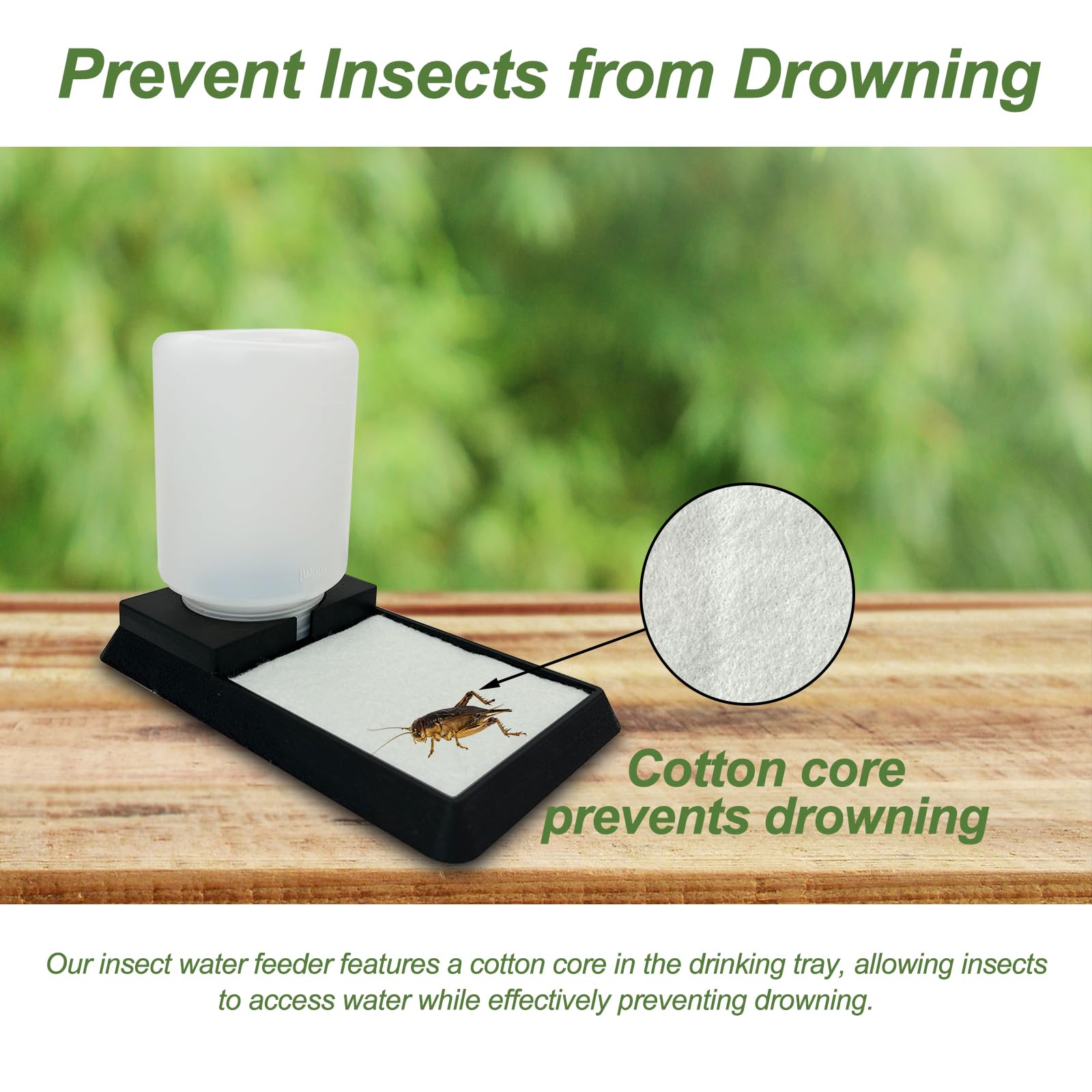 KFPSHLQE water-dispensing tray closeup shows cotton core enabling safe sipping and reduced drowning risk.