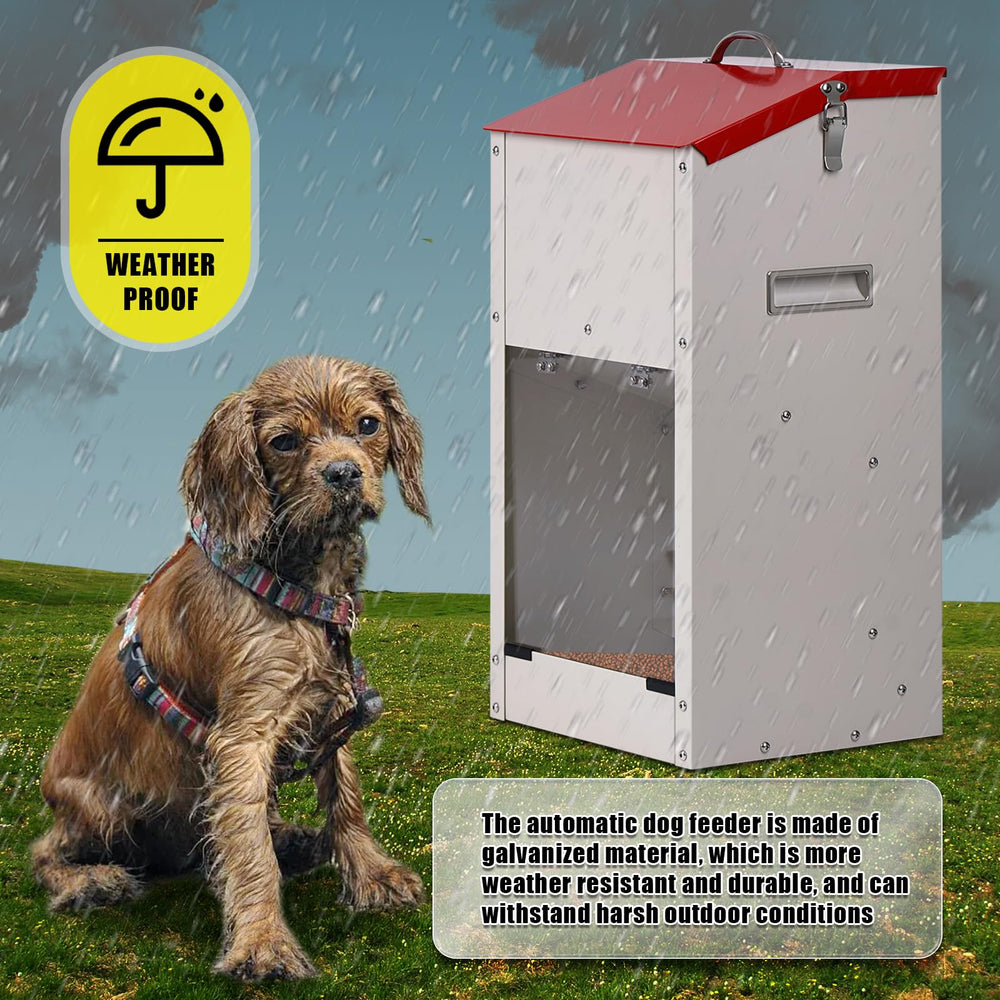 KHEARPSL large-capacity feeder suits multiple dogs or stray outdoor pets.