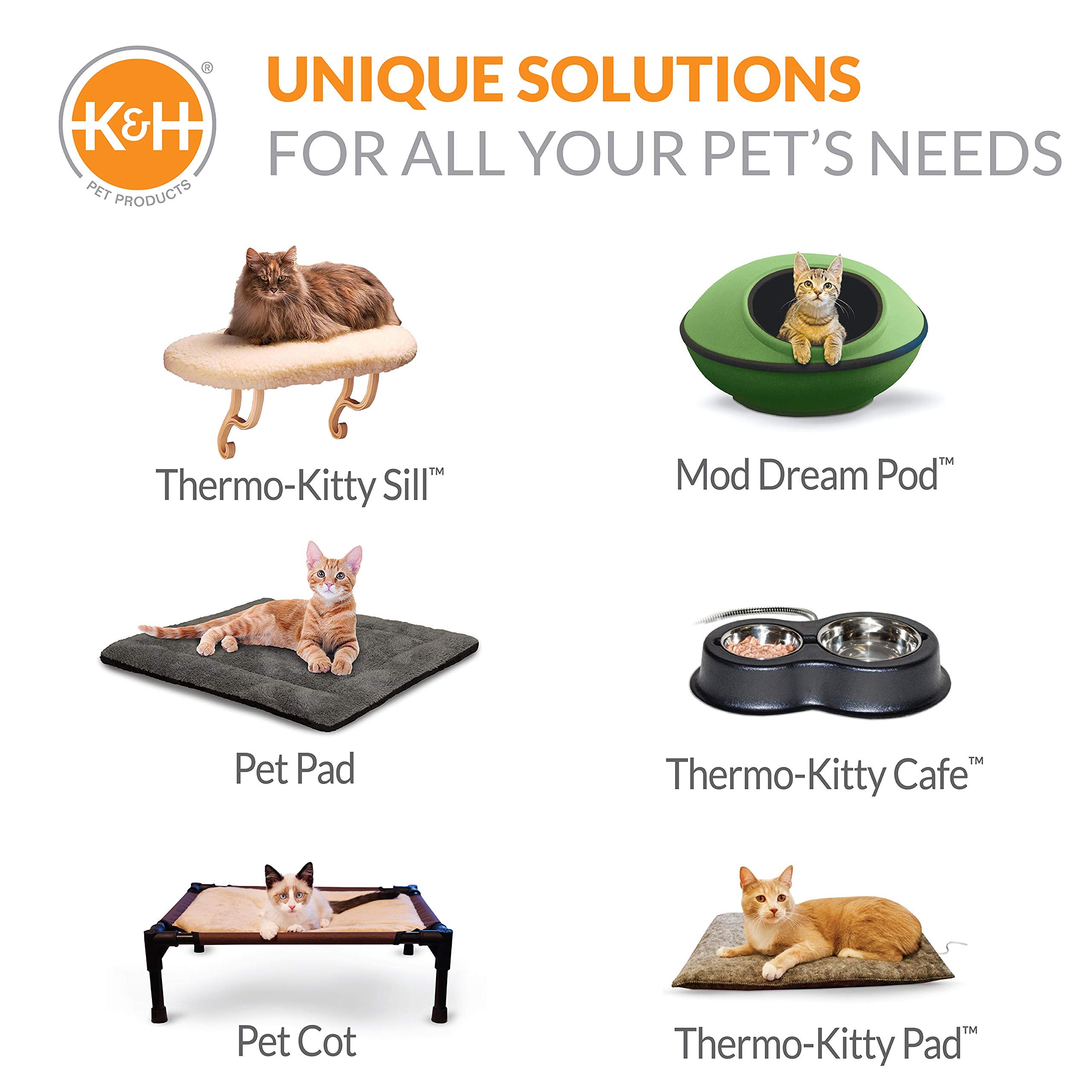 Ferals and community cats benefit from accessible watering and feeding.