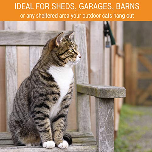 Outdoor weather-ready design supports year-round cats' hydration.