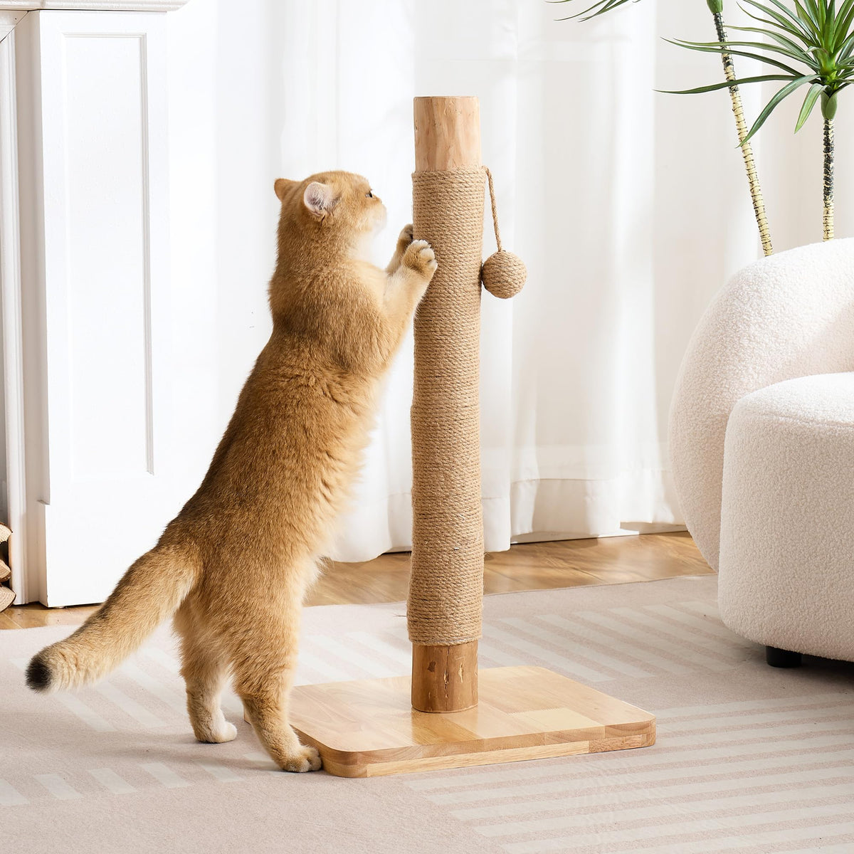Kicari 29-inch tall cat scratching post with pear wood for sturdy indoor use.