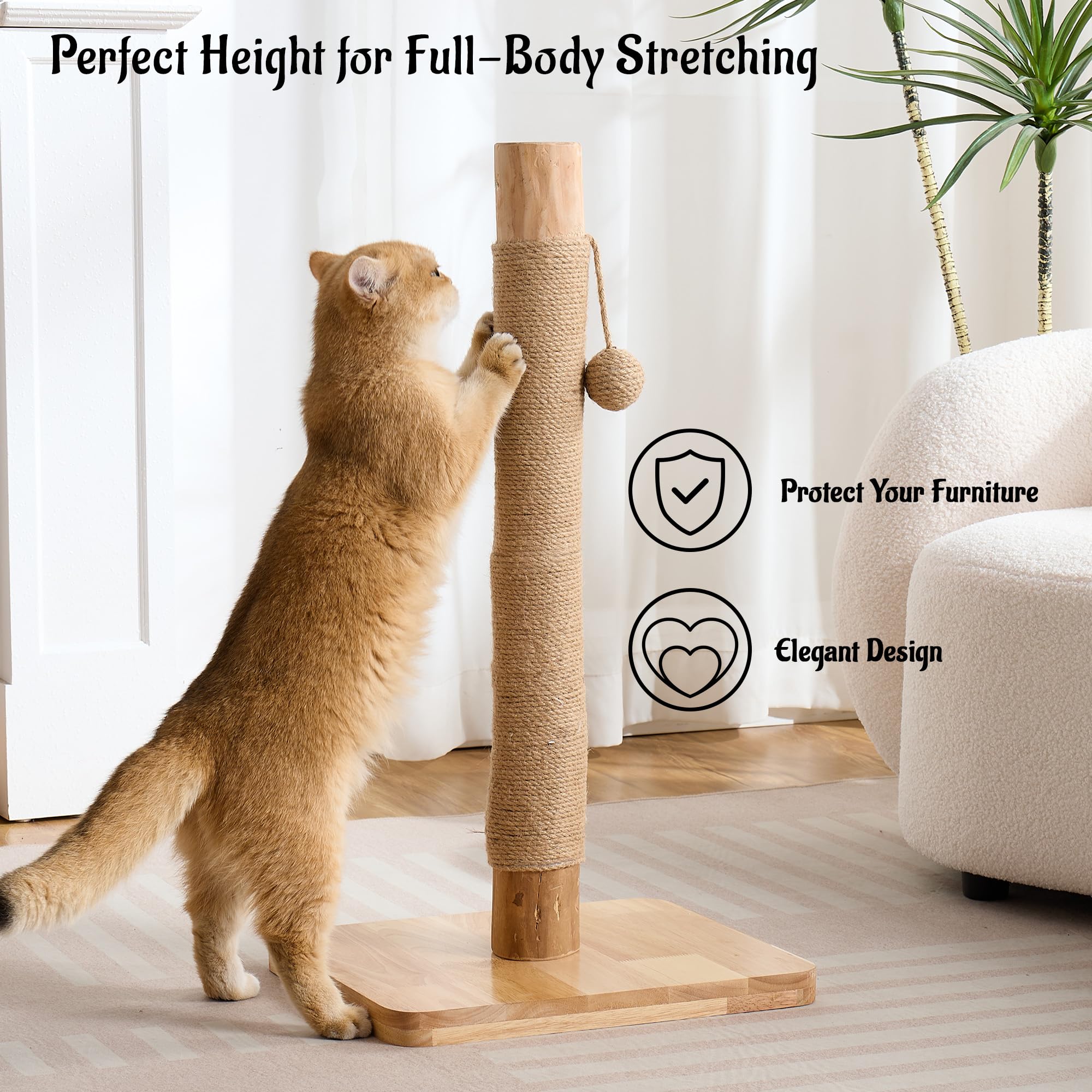 Kicari extra thick 1.2-inch base wood for wobble-free stability.