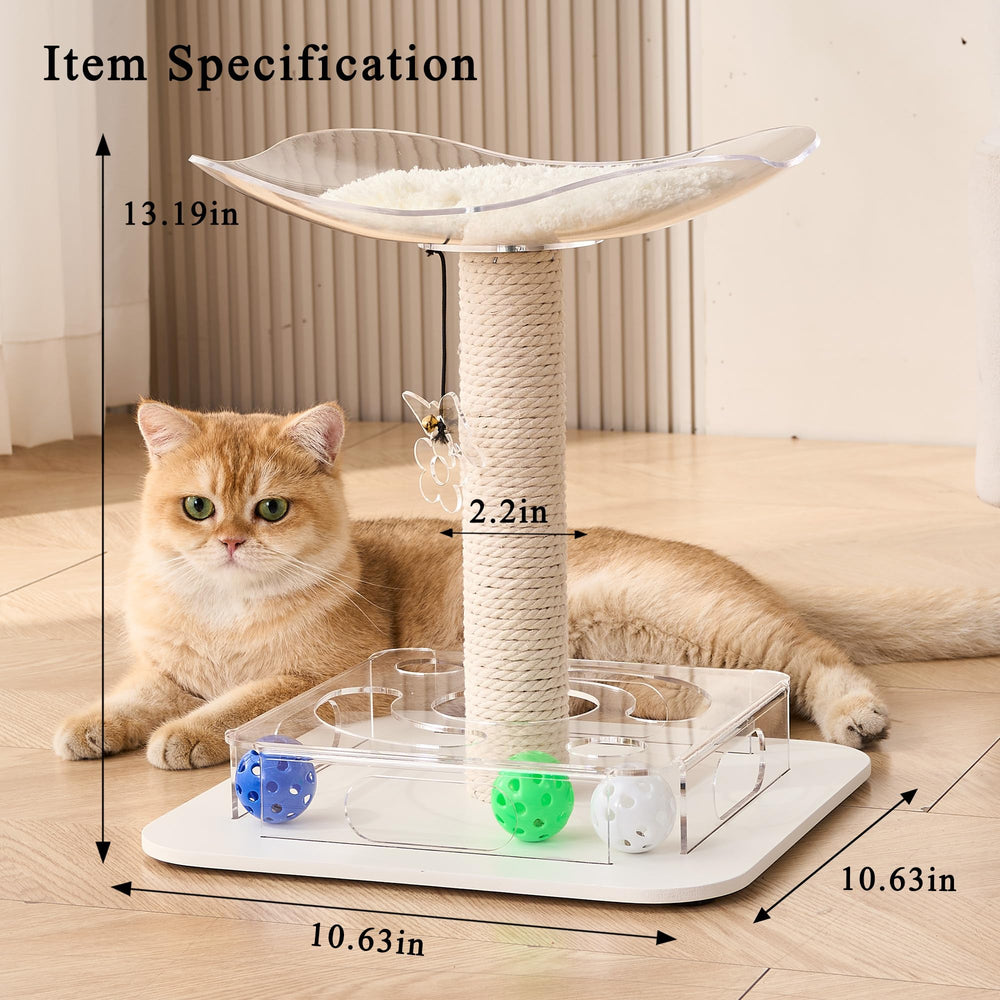 Kicari Modern 3-in-1 cat toy acrylic-view showcases a sleek, transparent design.