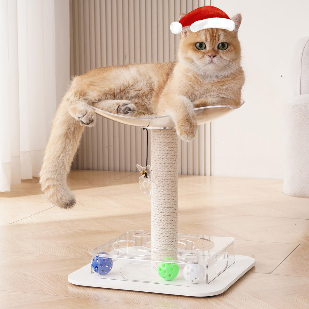 Kicari Modern 3-in-1 cat toy bed-perch provides cozy resting for indoor cats.