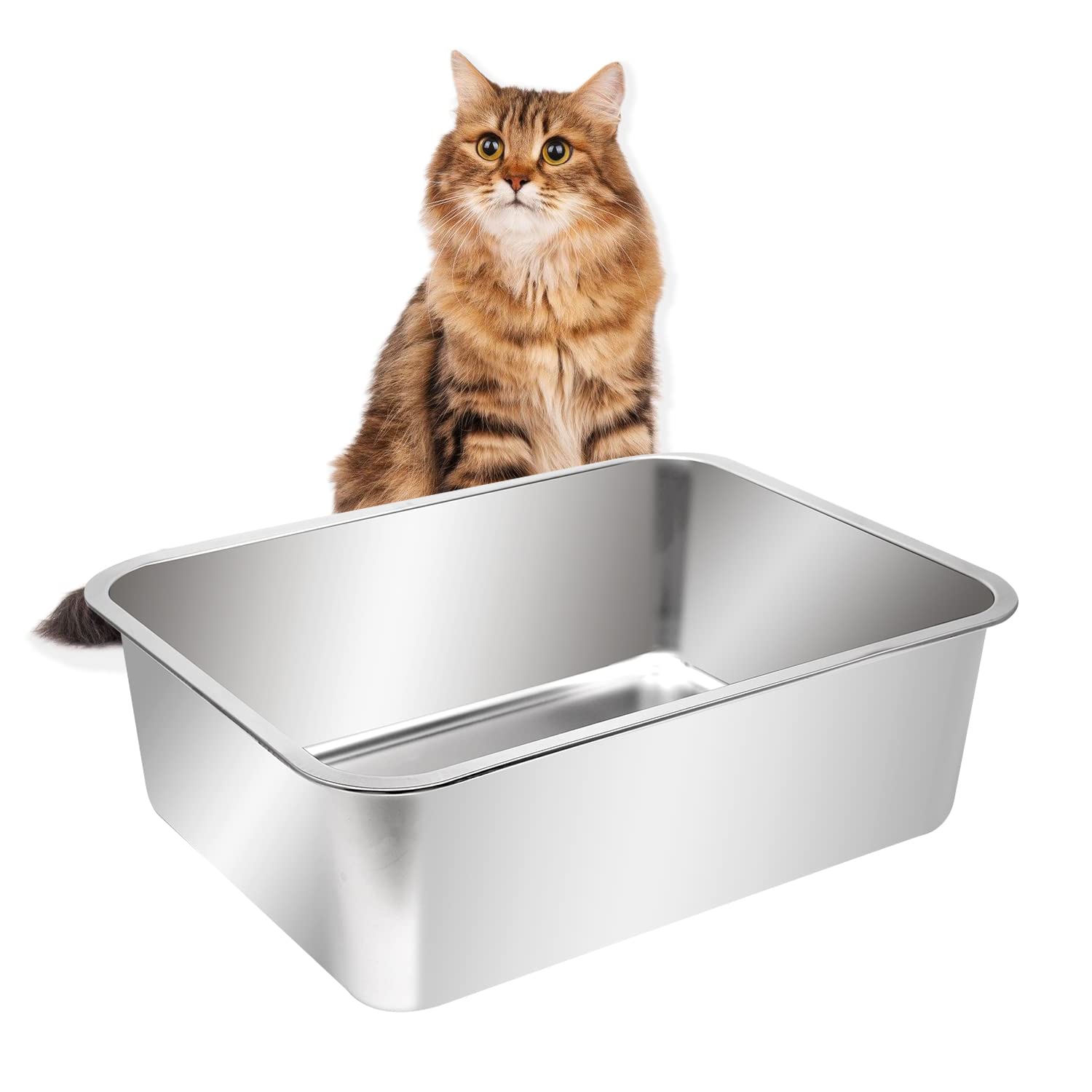 Kichwit extra-large stainless steel open litter box side view with high sides reducing mess.