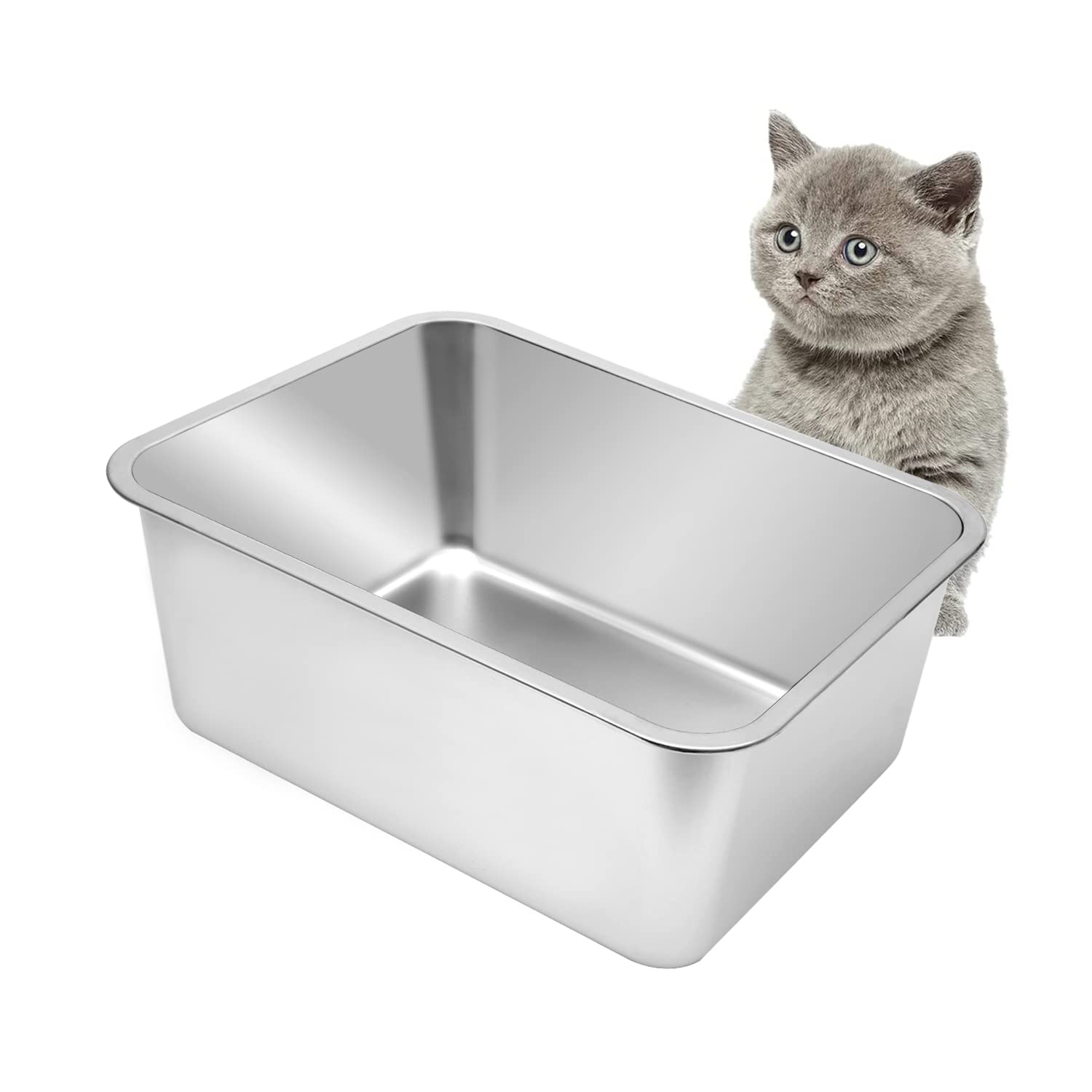 Kichwit stainless steel cat litter box with high sides for mess containment.