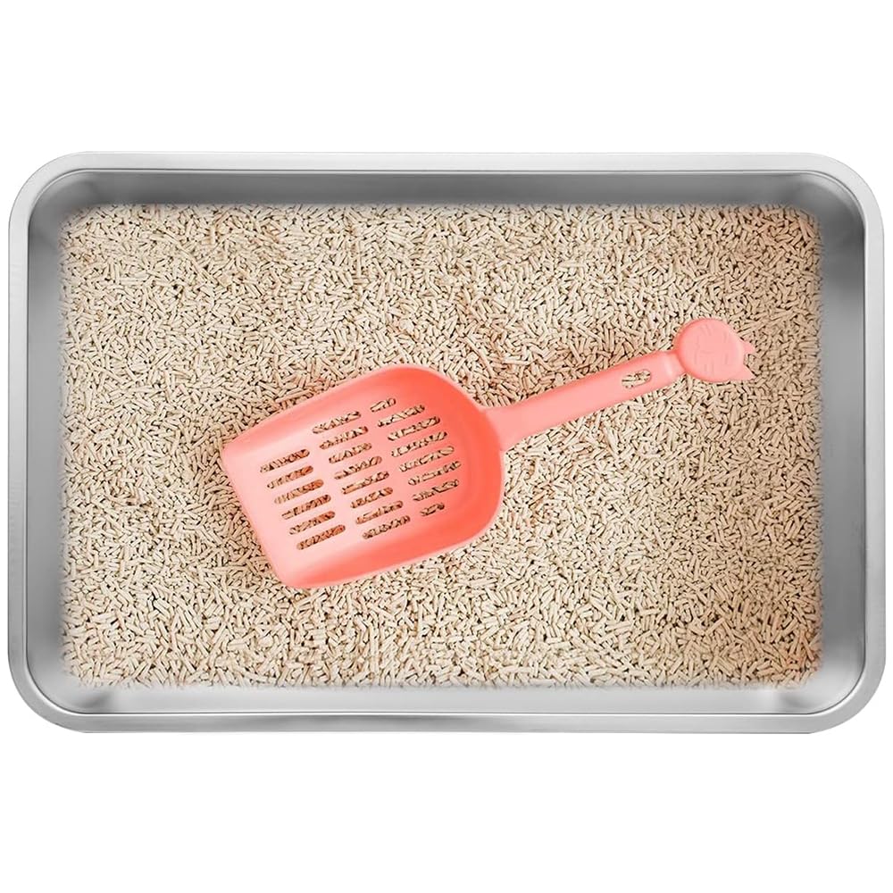 Kichwit stainless-steel open litter box rounded edges for safe handling.