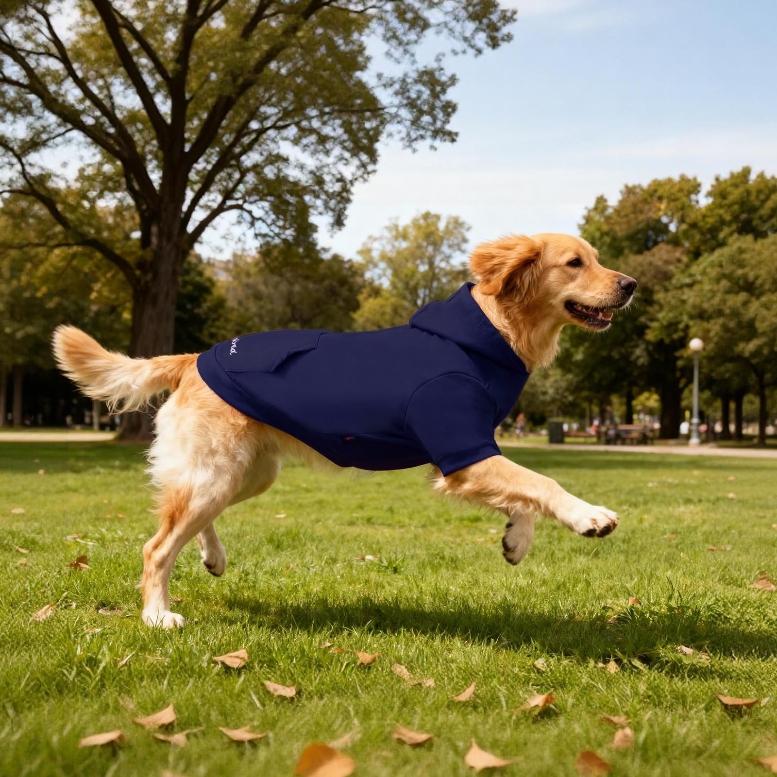 Kickred Basic Dog Hoodie leash hole back shows easy harness access