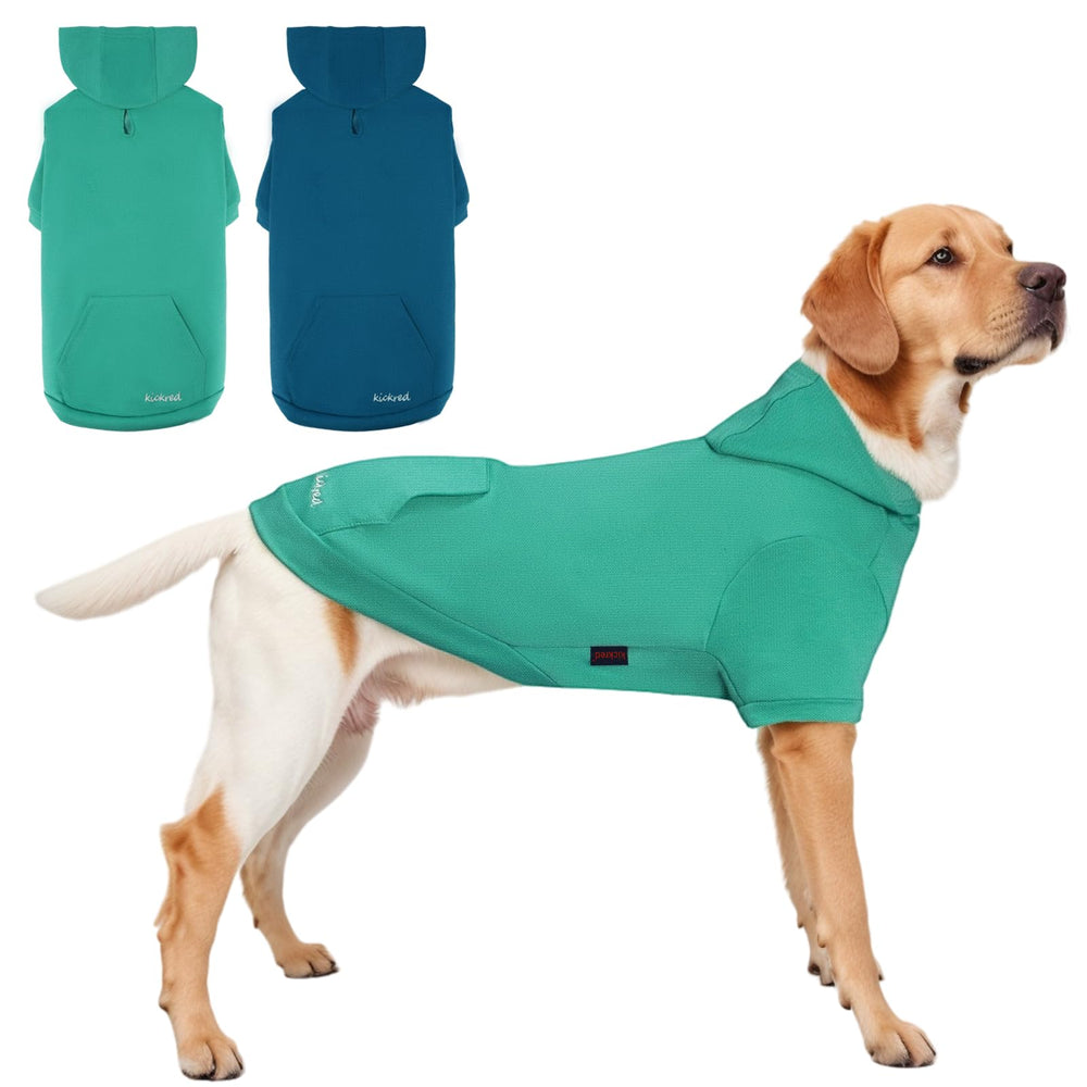 Kickred dog hoodie turquoise back view shows cozy fit for park adventures.
