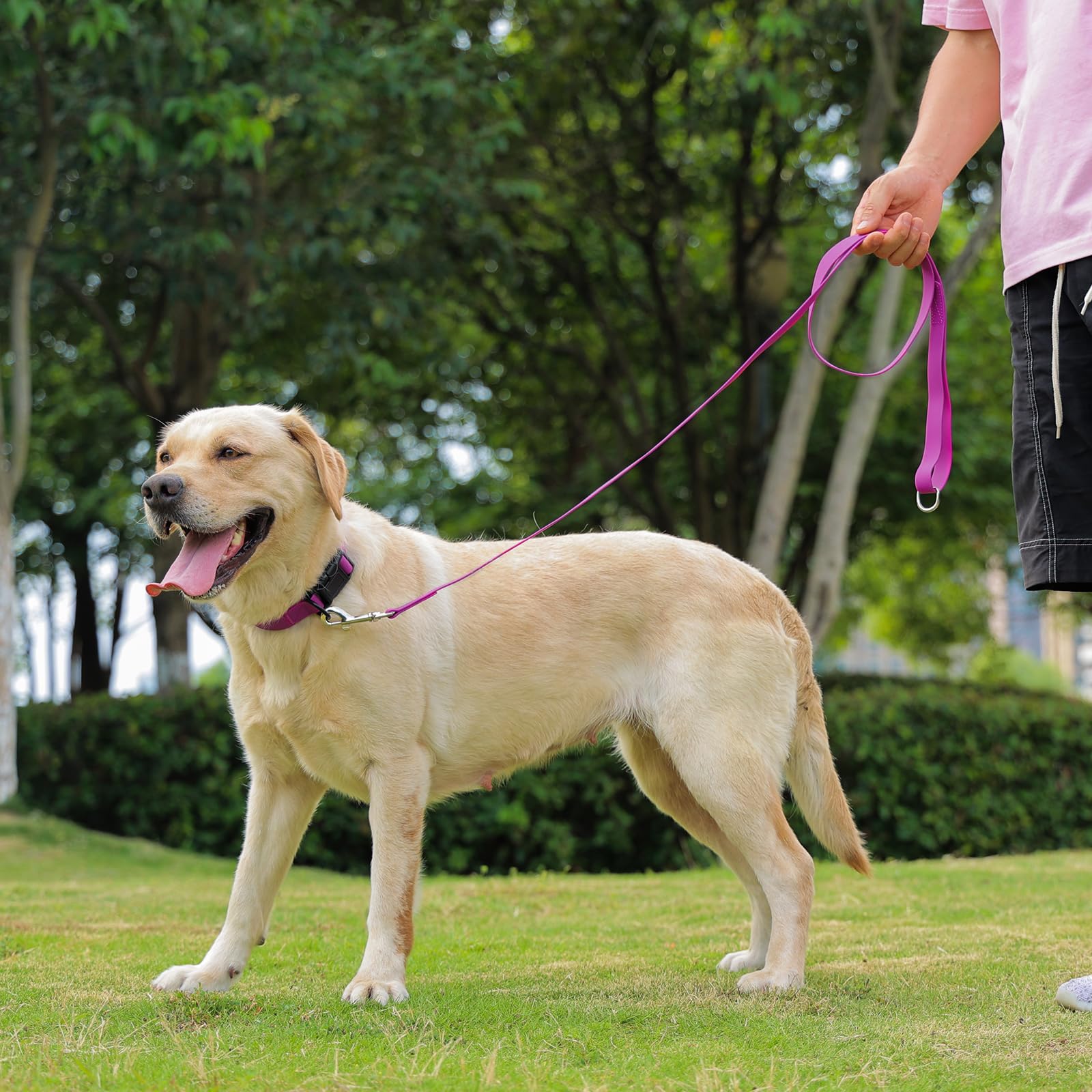 Collar impermeable de Kidding Pets para aventuras al aire libre.