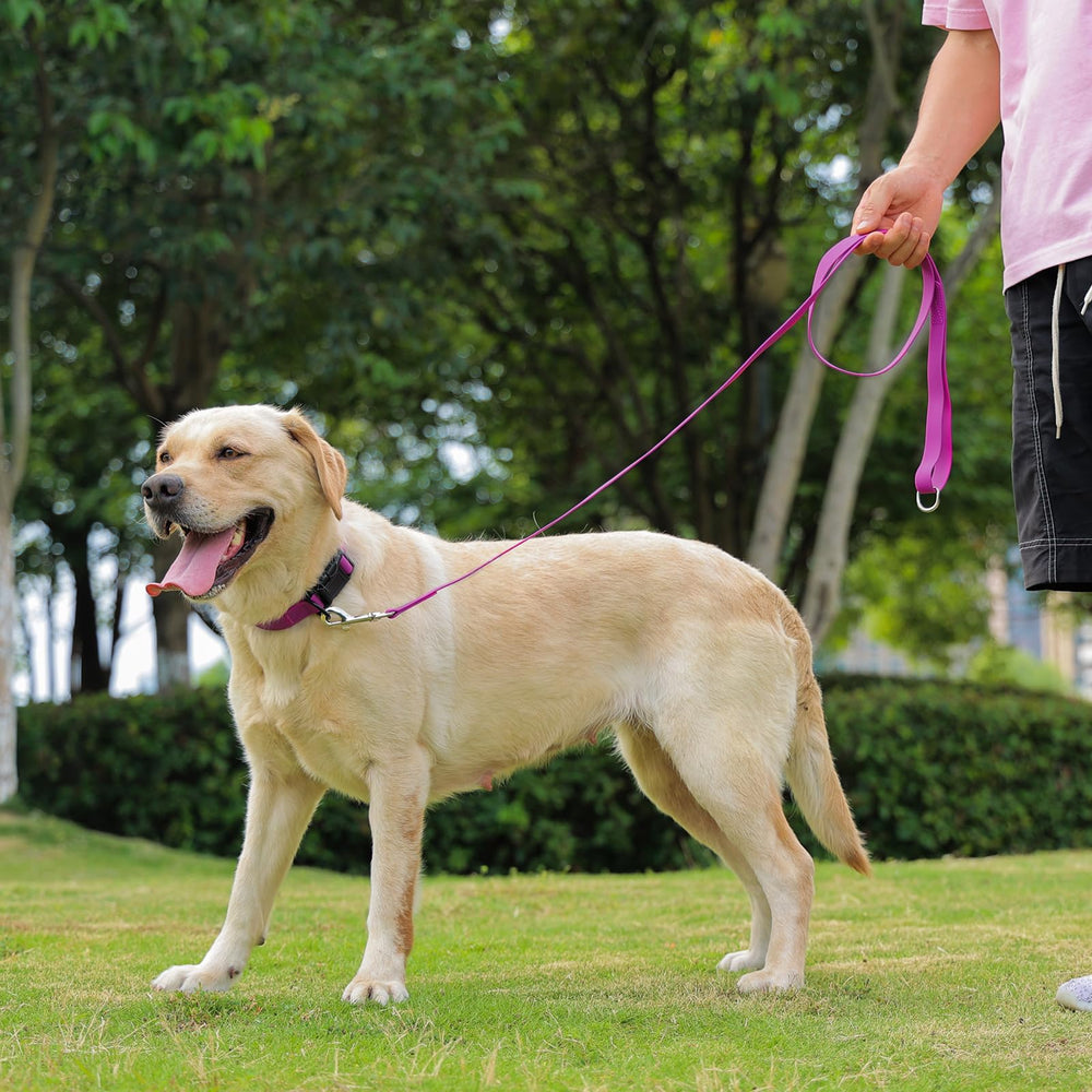 Collar impermeable de Kidding Pets para aventuras al aire libre.