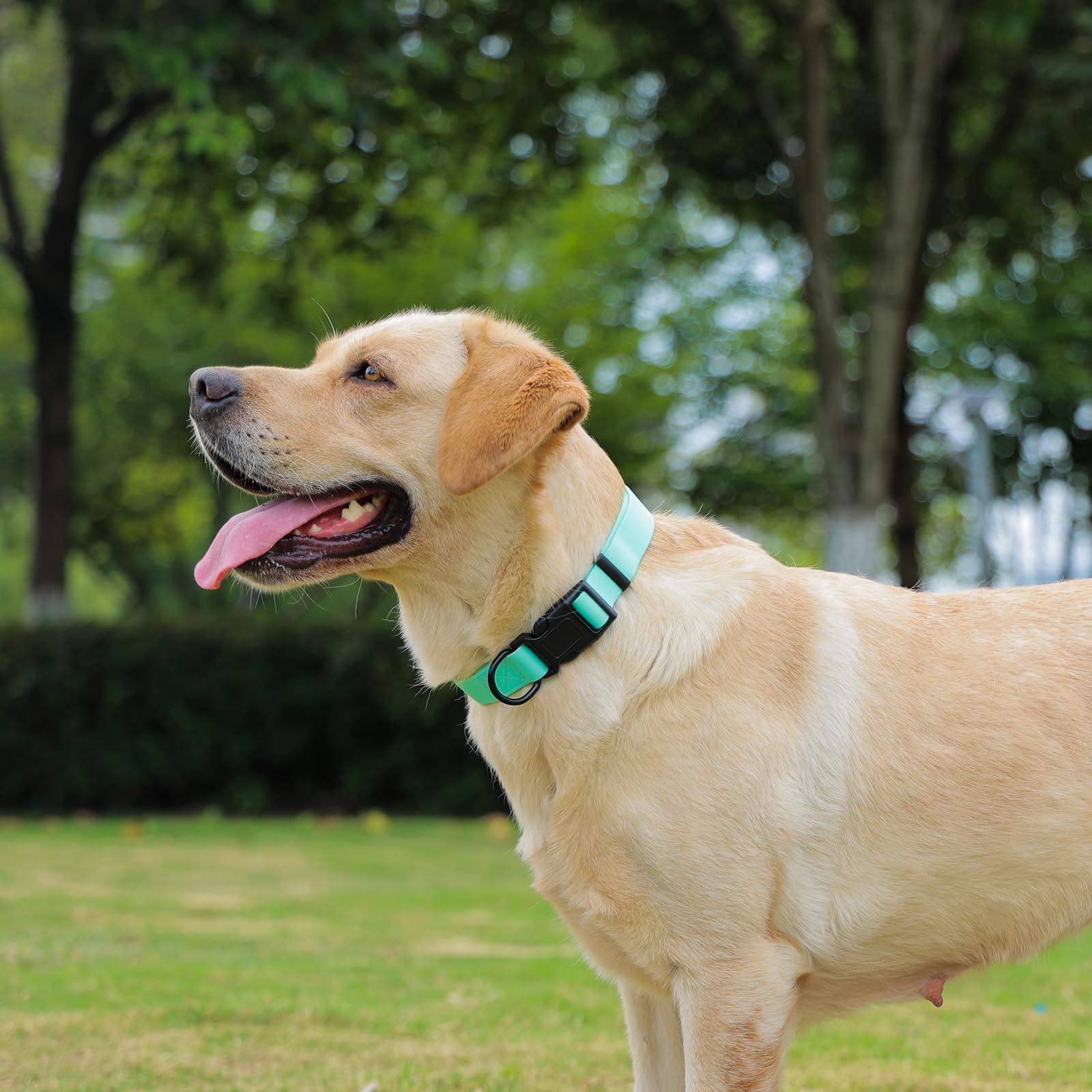 Collar ligero y cómodo de Kidding Pets, para uso diario y paseos.