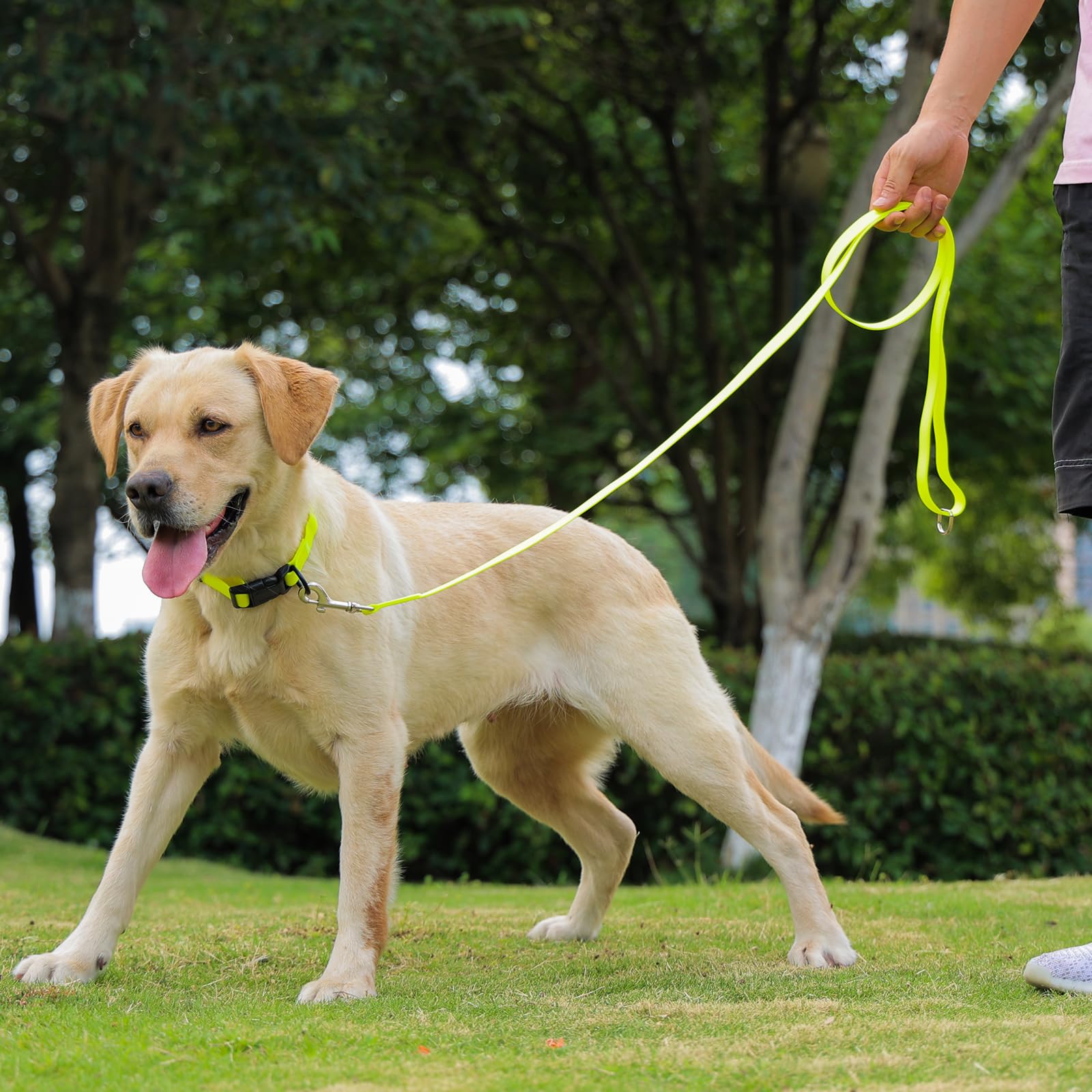 KIDDING PETS collar impermeable, diseño suave para uso diario y confort.